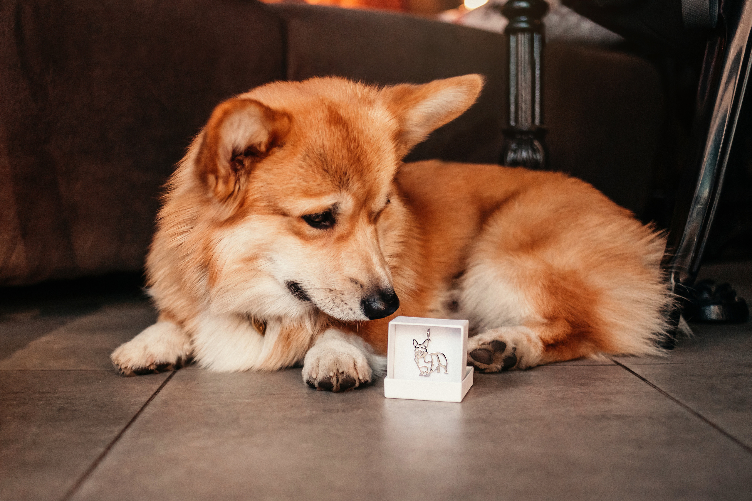 Украшения Diamond Animal. Фотограф-анималист Елена Радченко, Москва