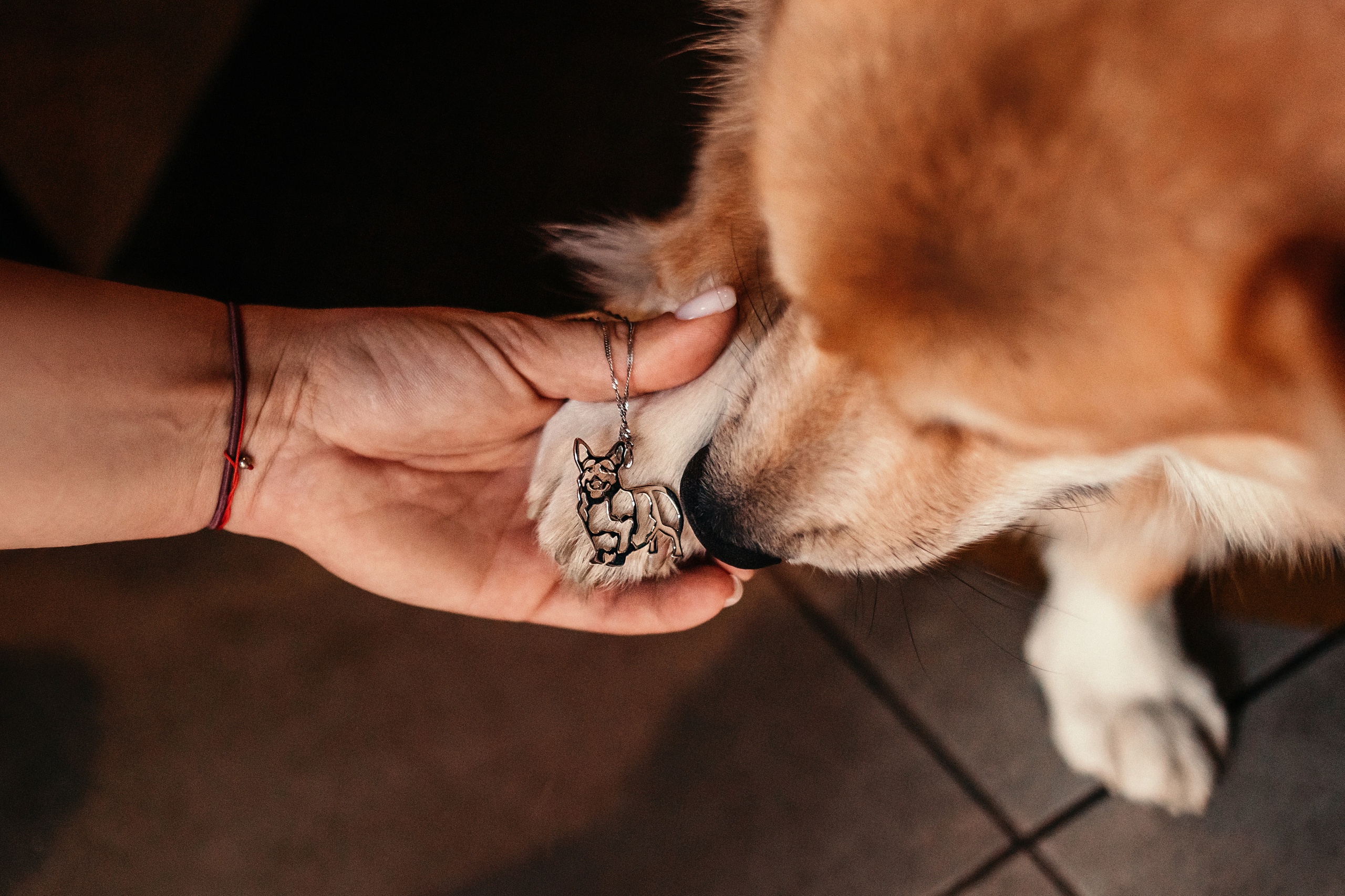 Украшения Diamond Animal. Фотограф-анималист Елена Радченко, Москва