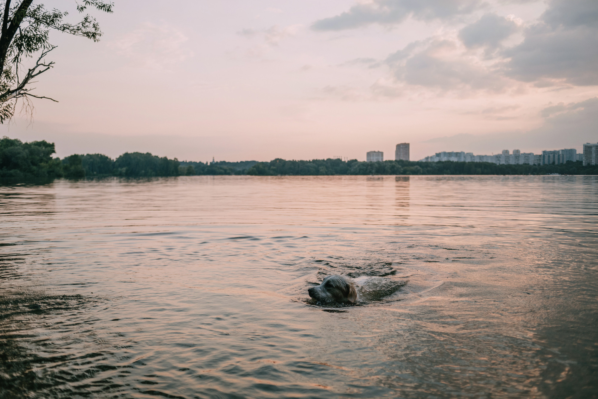 Ольга и Винни. Фотограф-анималист Елена Радченко, Москва
