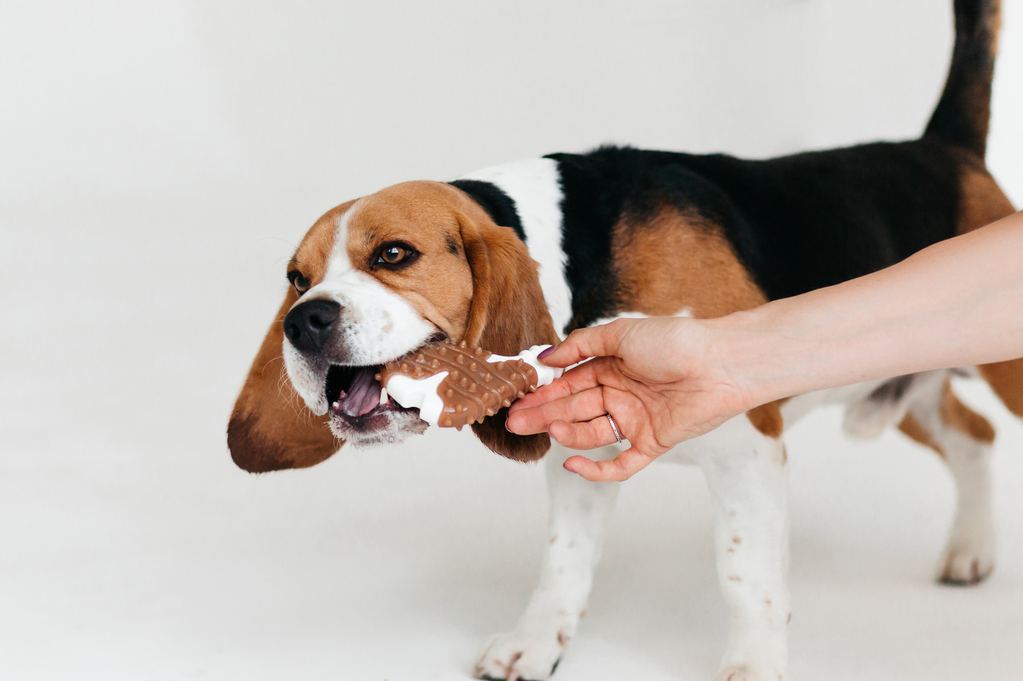 Магазин Каскад. Фотограф-анималист Елена Радченко, Москва