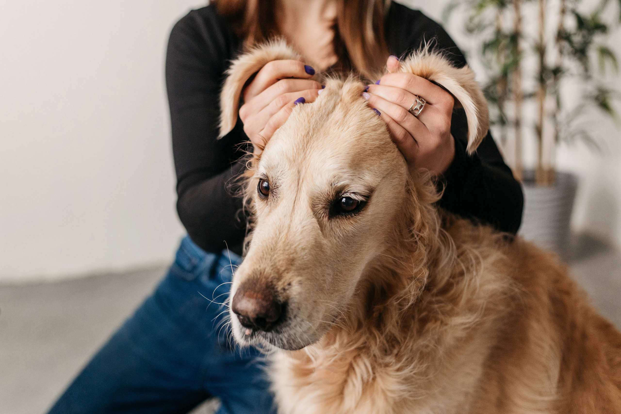 Украшения Diamond Animal. Фотограф-анималист Елена Радченко, Москва