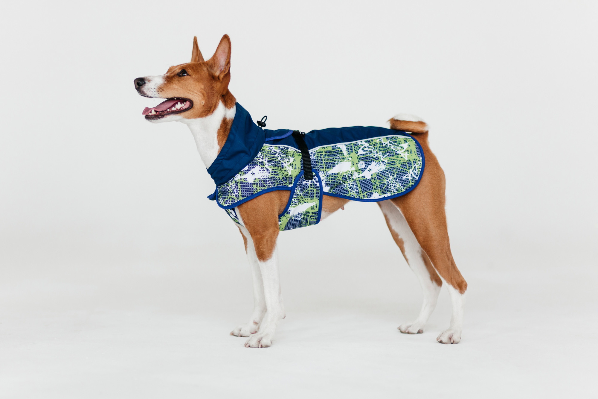 Магазин Каскад. Фотограф-анималист Елена Радченко, Москва