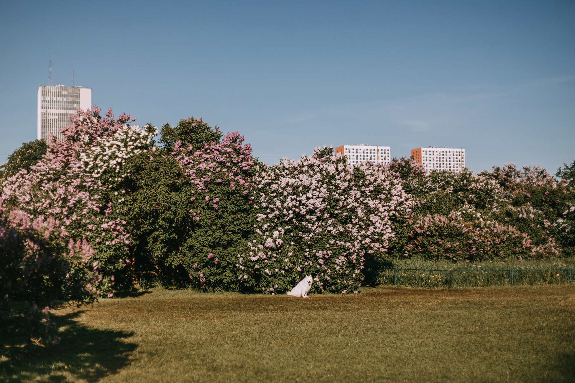 Маша и Уна. Фотограф-анималист Елена Радченко, Москва