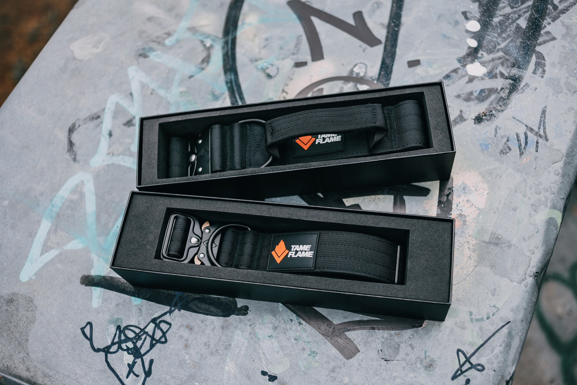 Ошейники Tame flame. Фотограф-анималист Елена Радченко, Москва