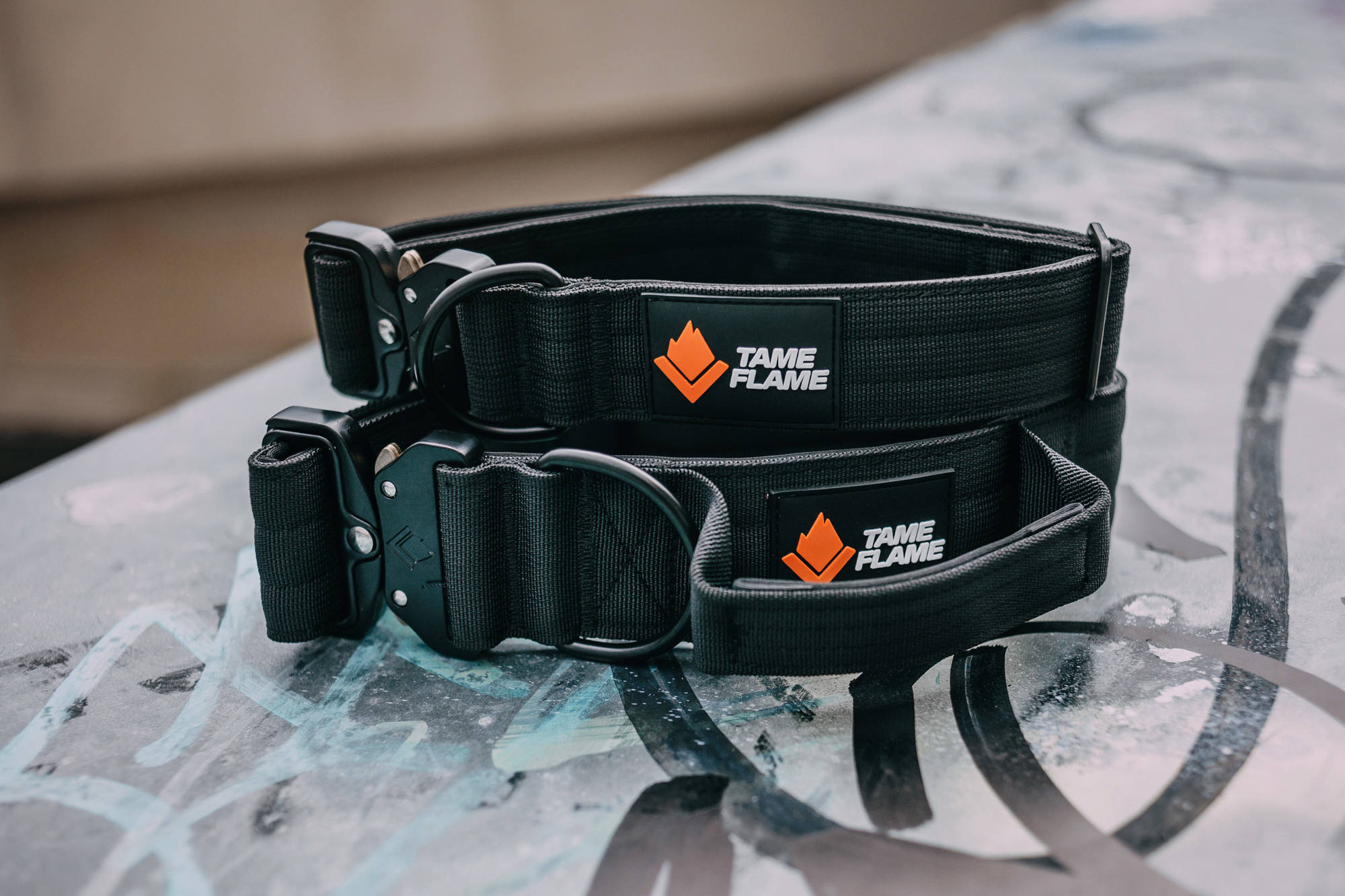 Ошейники Tame flame. Фотограф-анималист Елена Радченко, Москва