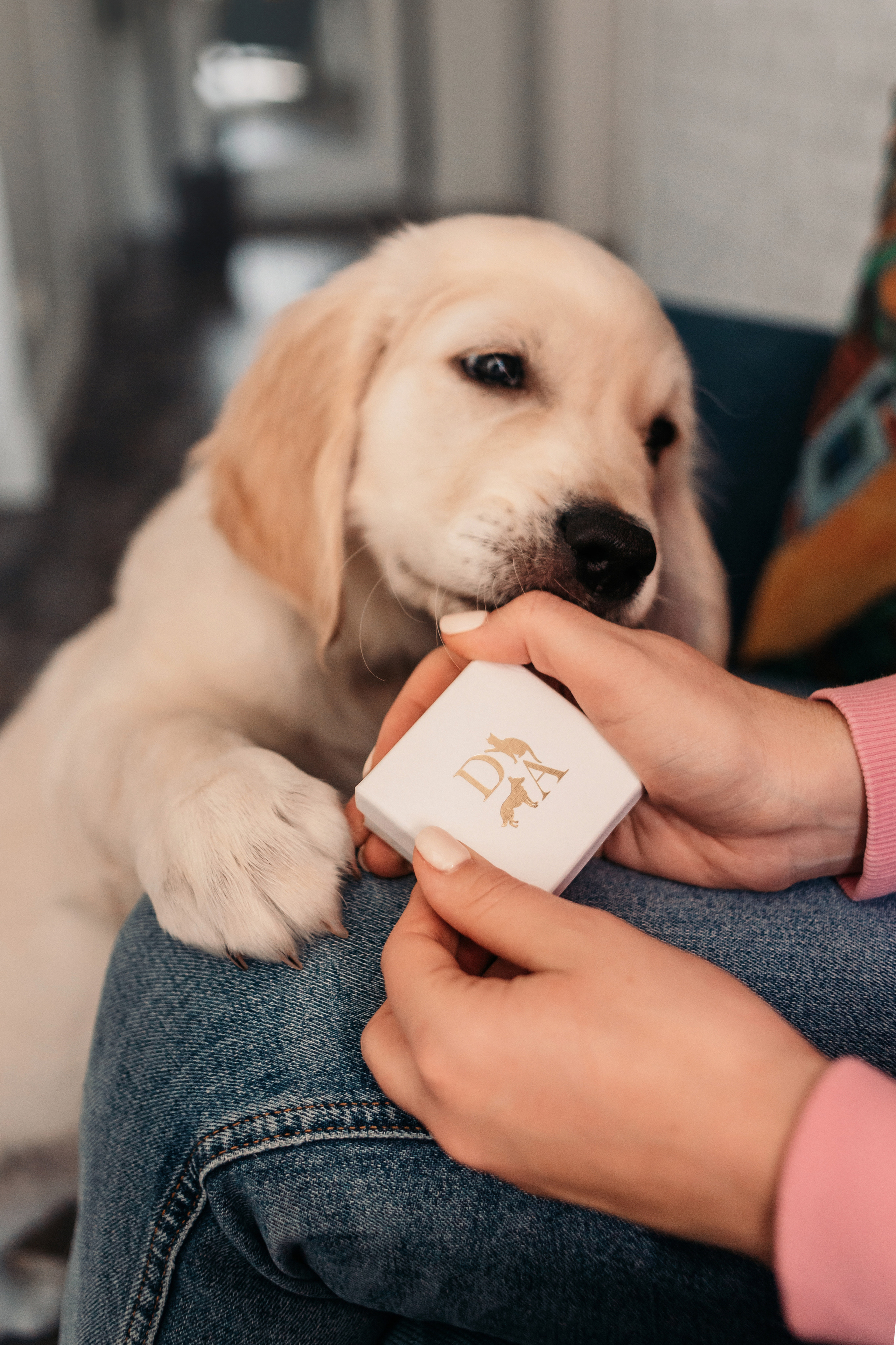 Украшения Diamond Animal. Фотограф-анималист Елена Радченко, Москва