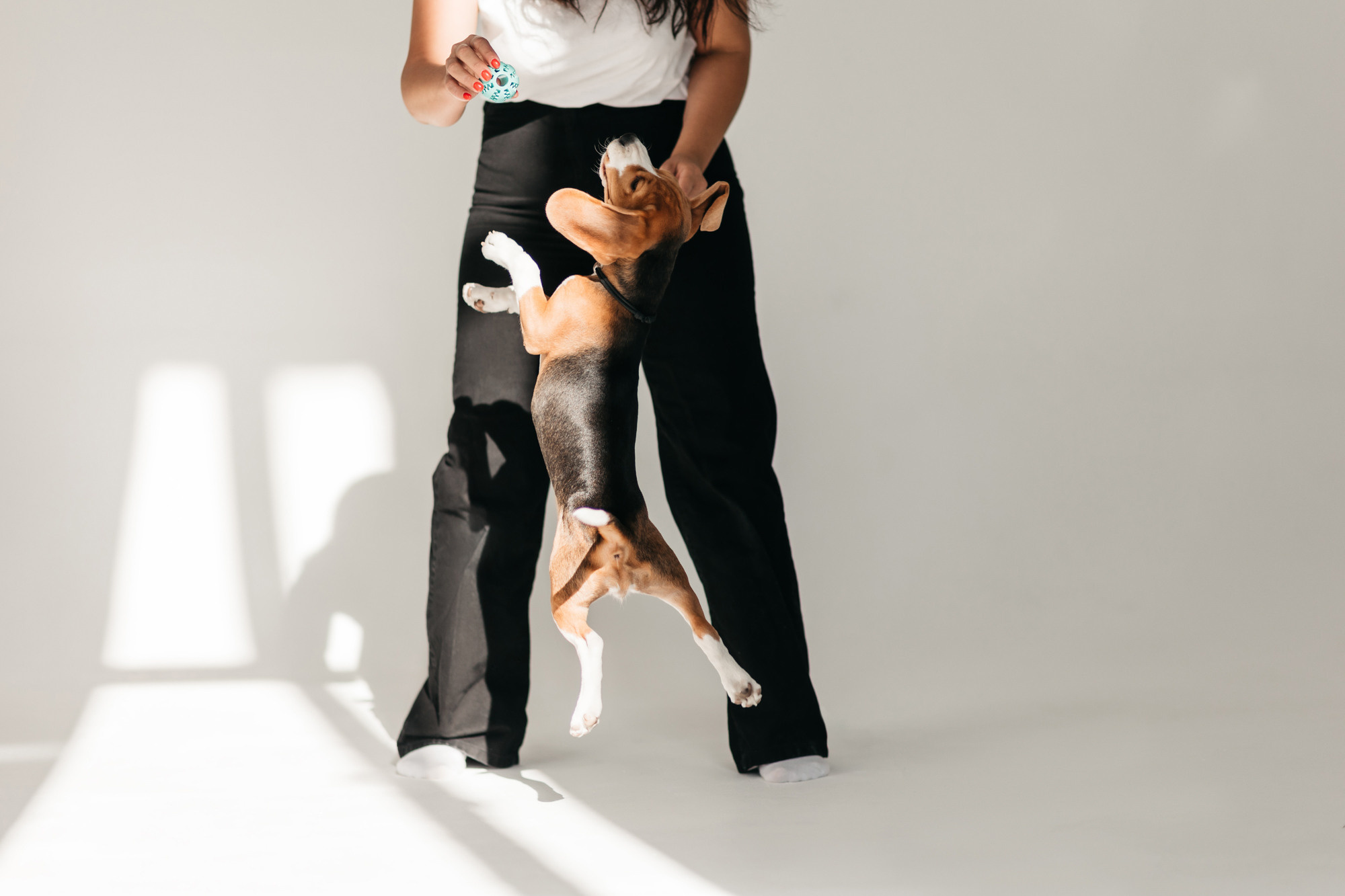 Наталия и Булочка. Фотограф-анималист Елена Радченко, Москва