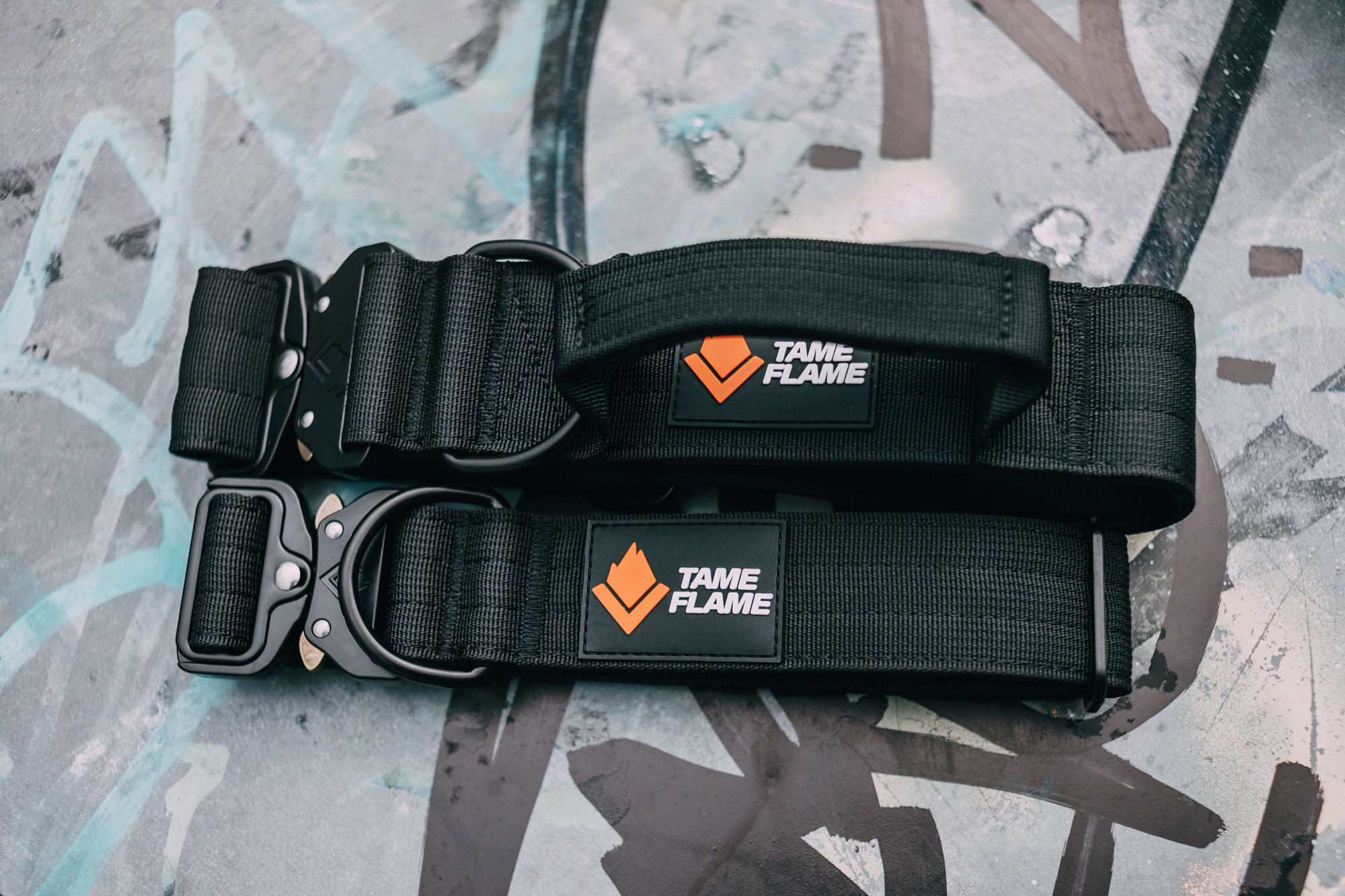 Ошейники Tame flame. Фотограф-анималист Елена Радченко, Москва