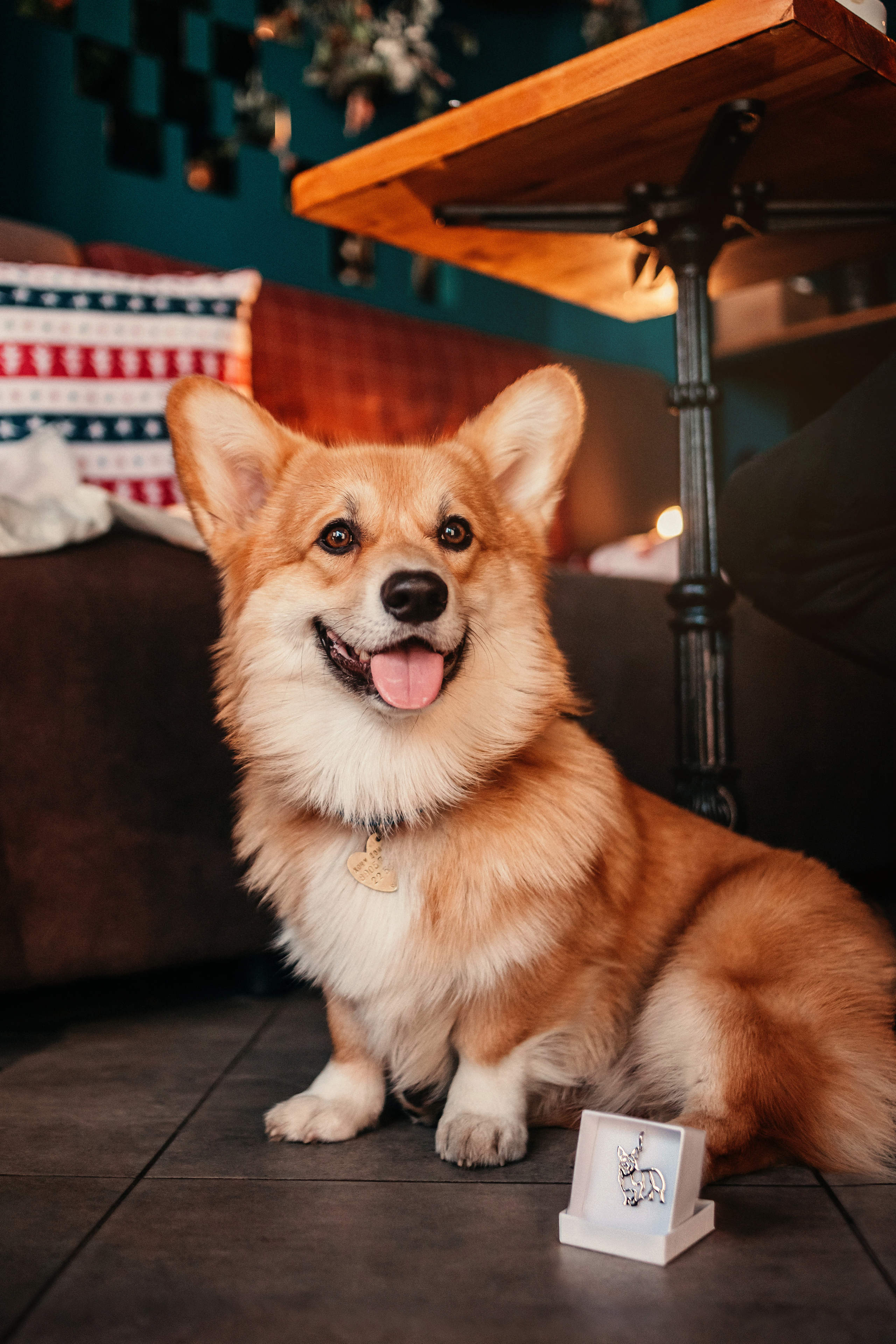 Украшения Diamond Animal. Фотограф-анималист Елена Радченко, Москва