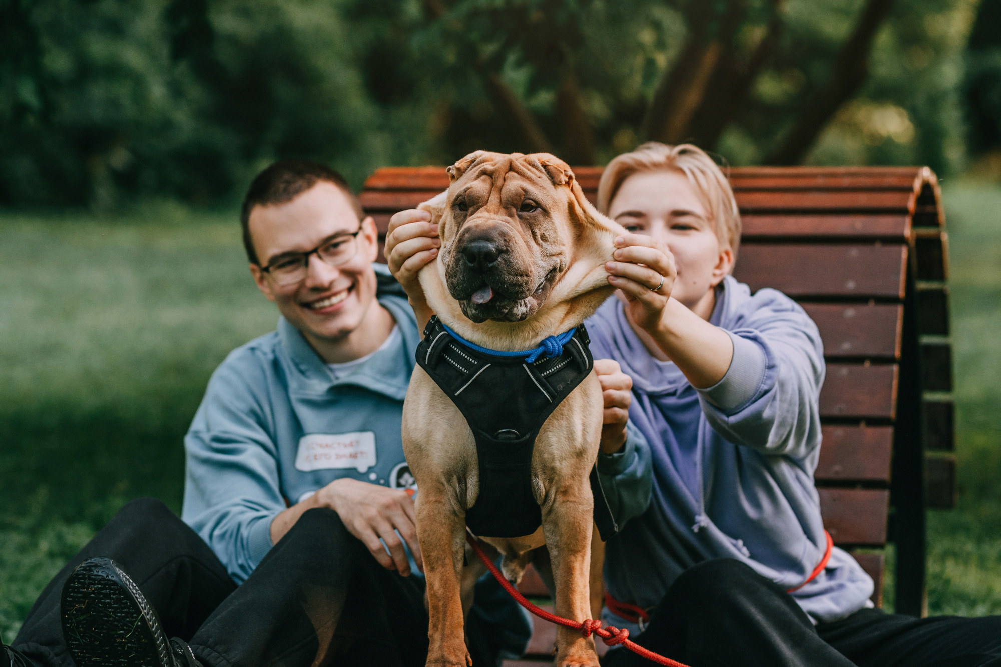 Аппа. Фотограф-анималист Елена Радченко, Москва