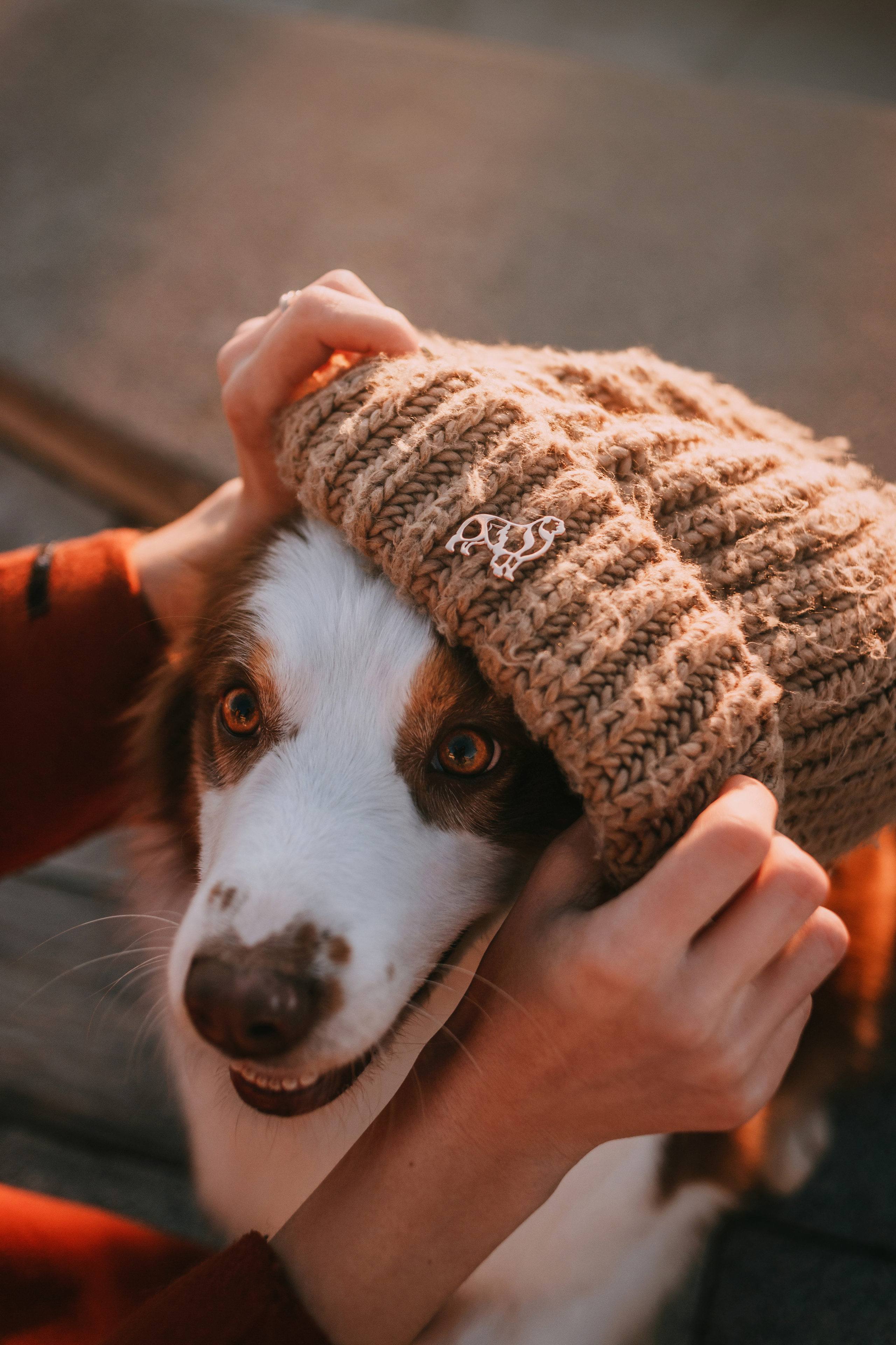 Украшения Diamond Animal. Фотограф-анималист Елена Радченко, Москва