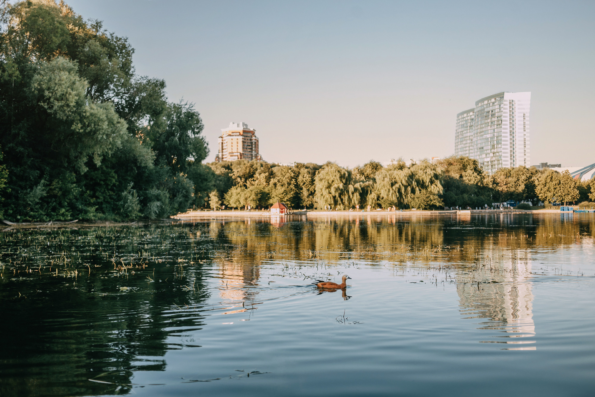 Марина, Максим и Дэй. Фотограф-анималист Елена Радченко, Москва