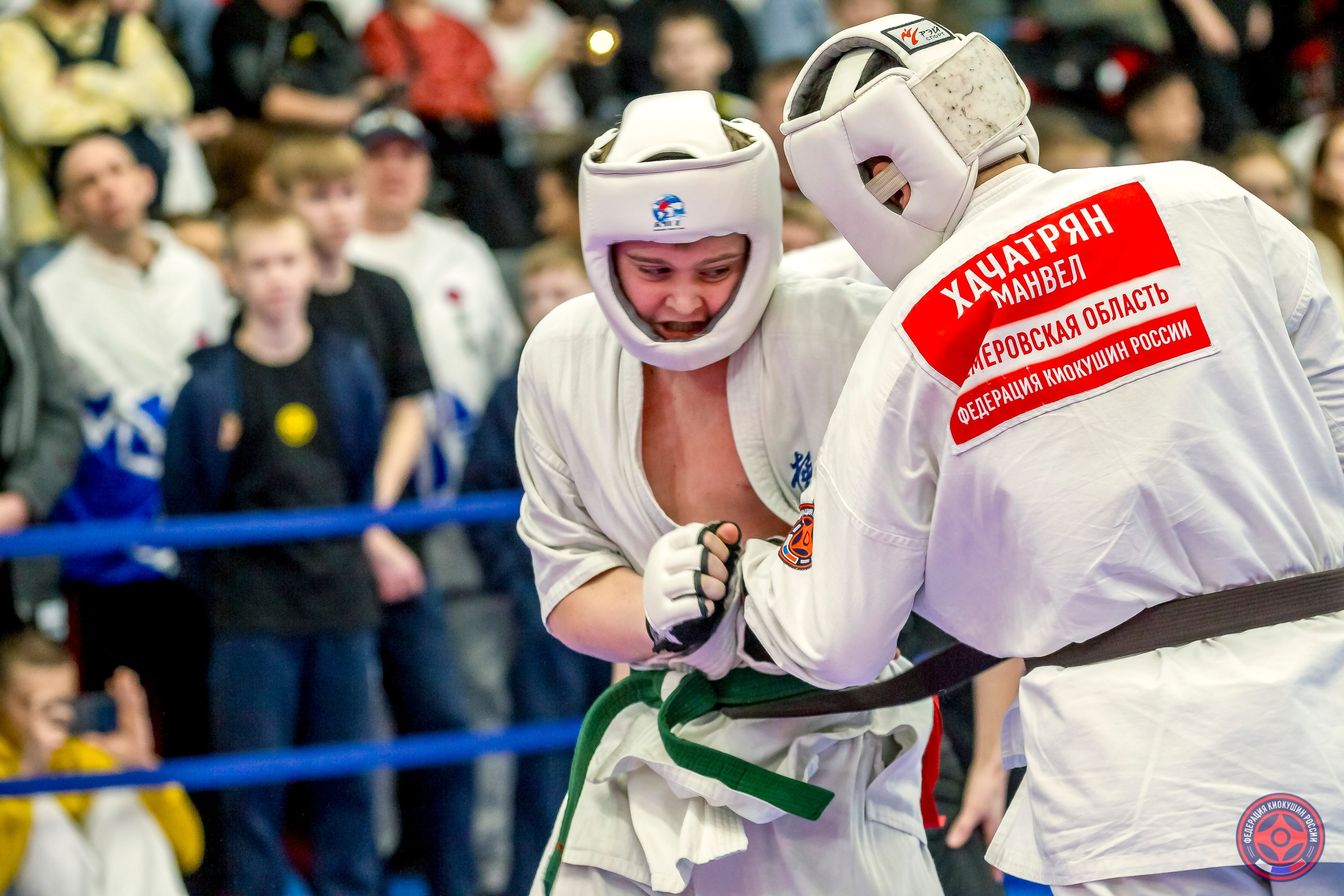 Международный турнир по киокушин «Открытый кубок Seiken». Репортажная съемка в Москве и области. Анималистика