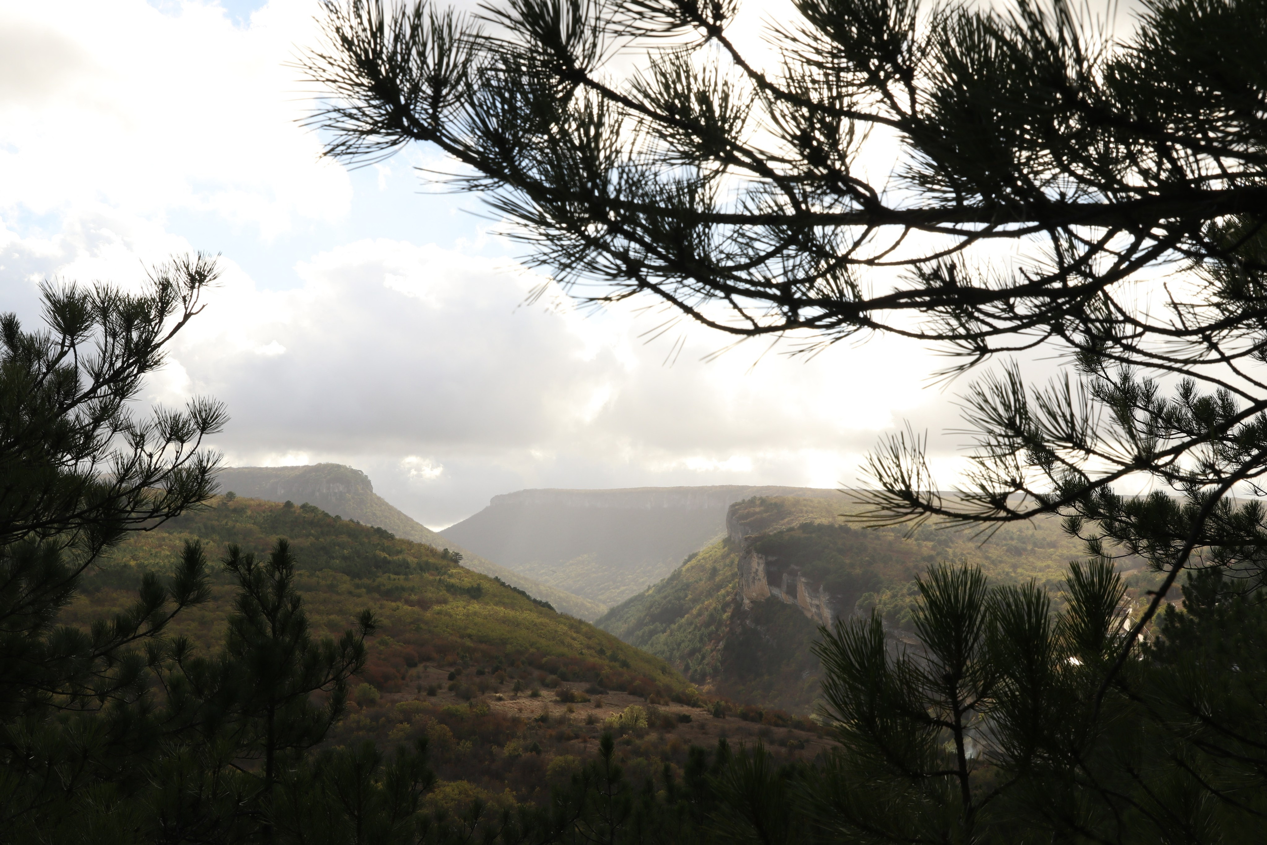 Крым. ЮБК (Гурзуф, Судак и их окрестности). Ноябрь 2023. Путешественник-фотограф из Санкт-Петербурга Татьяна Свистулина