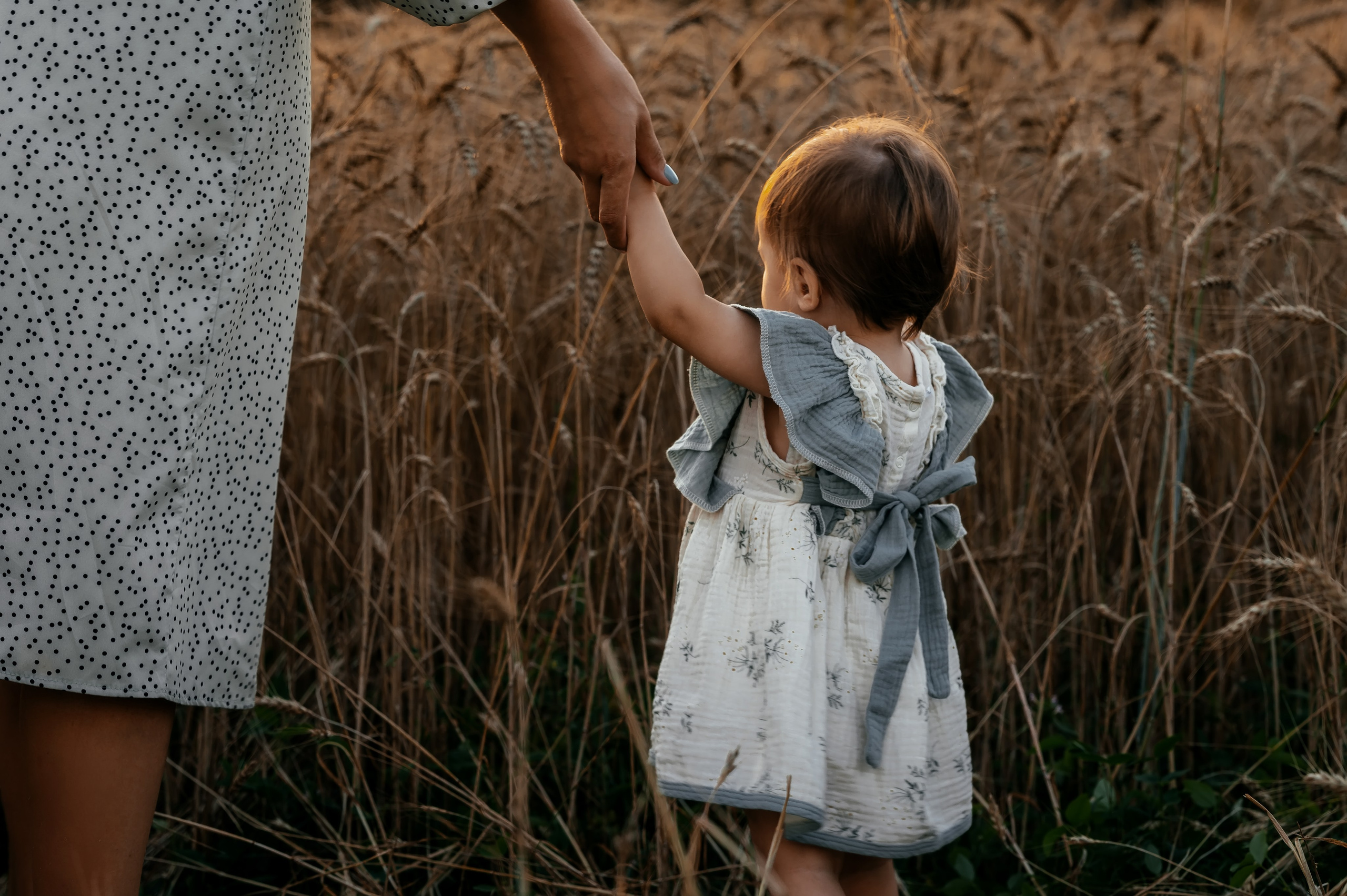 Оля, пшеничное поле в Протасово. Свадебный и семейный фотограф Виктория Носачёва. Щелково, Москва и МО