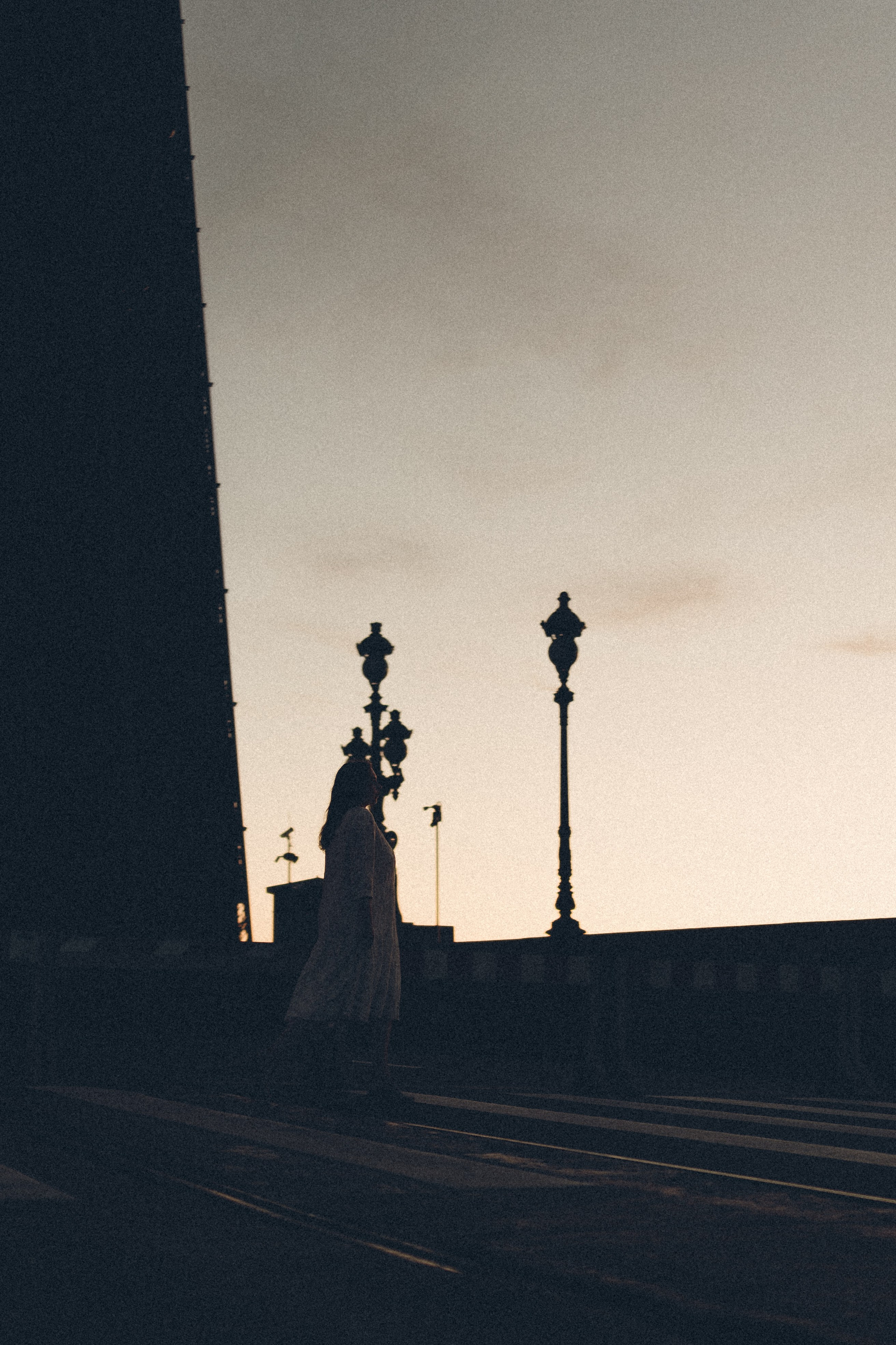 РАССВЕТ С РАЗВОДНЫМИ МОСТАМИ. Профессиональный фотограф, Санкт-Петербург — Виктория Богомолова