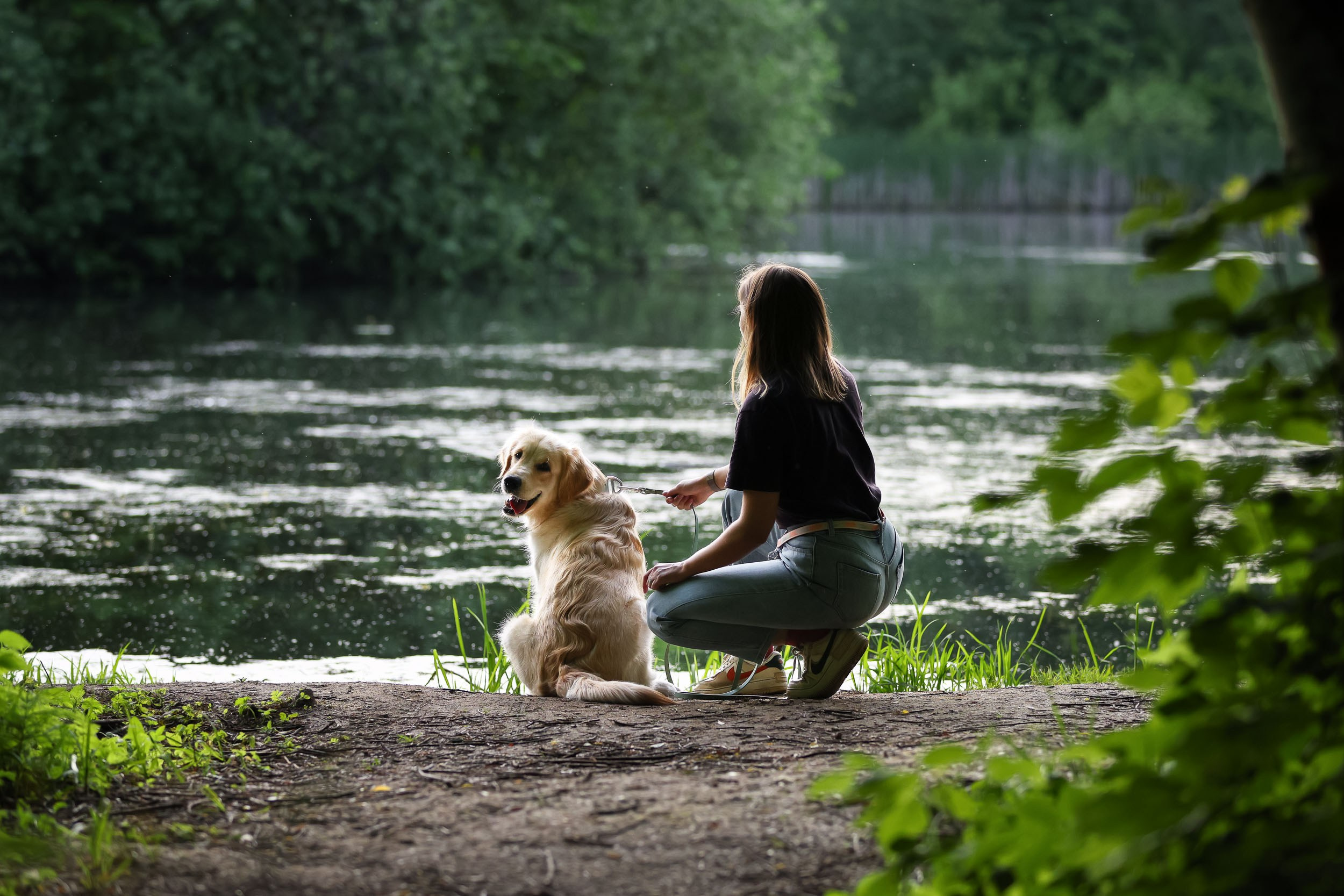 Фотопрогулка для четырех человек с собаками. Фотограф-анималист в Москве и Московской области Татьяна Фролова