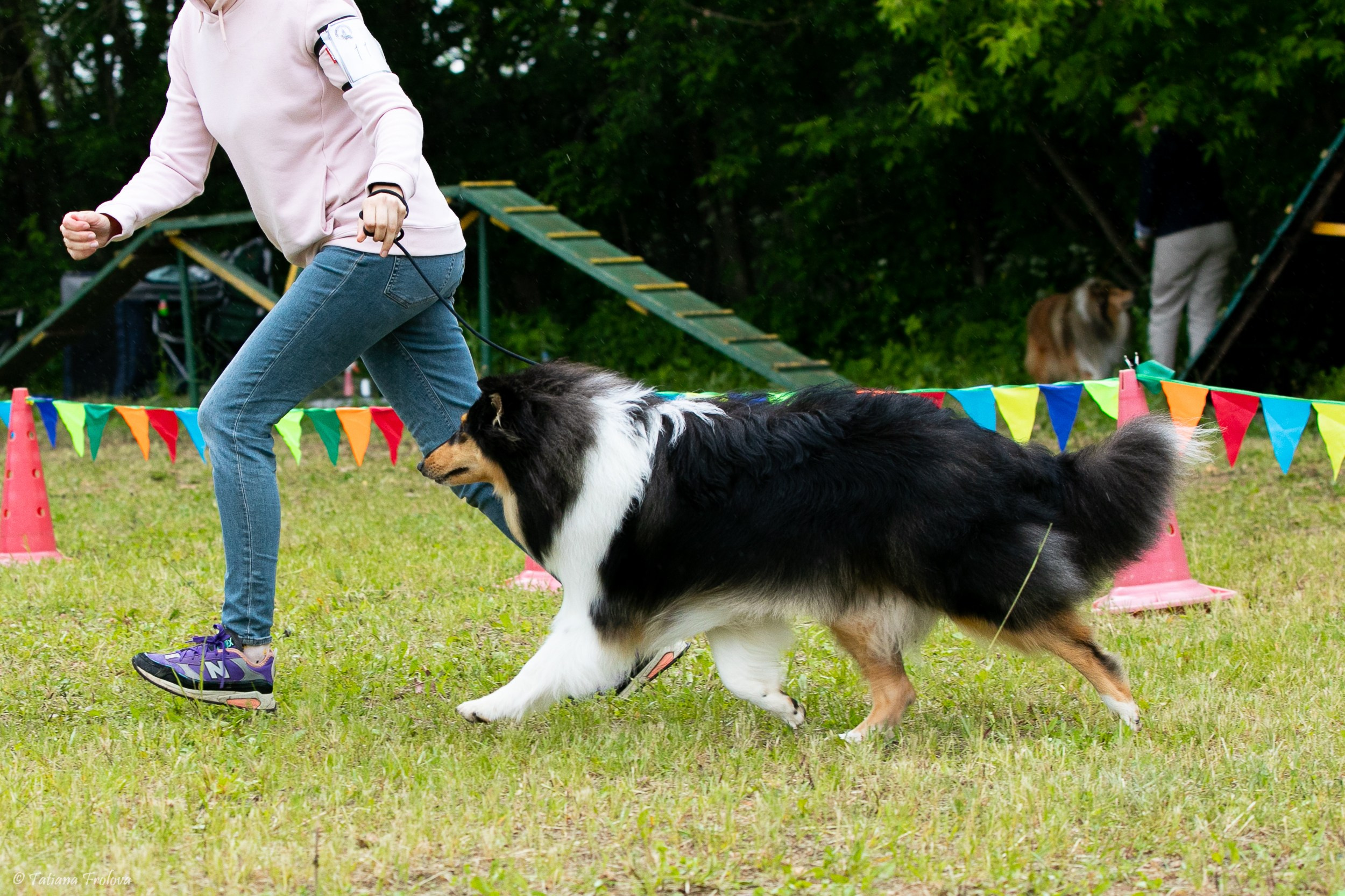 Фотосопровождение выставки собак в Московской области и Москве. Фотограф-анималист в Москве и Московской области Татьяна Фролова