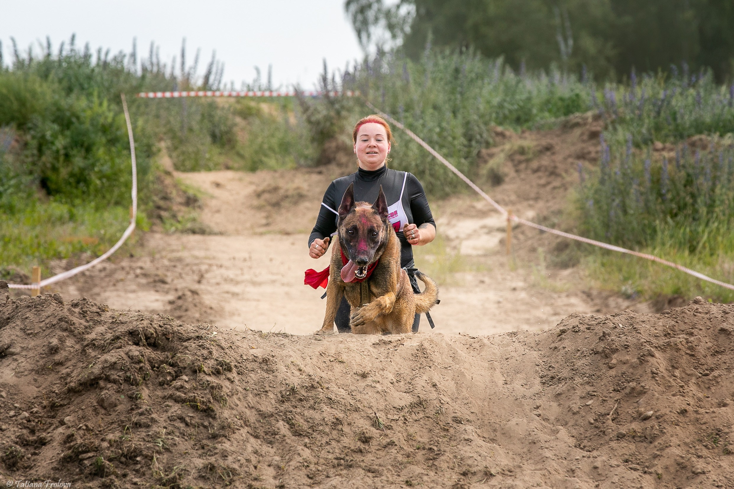 Фоторепортаж с забега с собаками. Фотограф-анималист в Москве и Московской области Татьяна Фролова