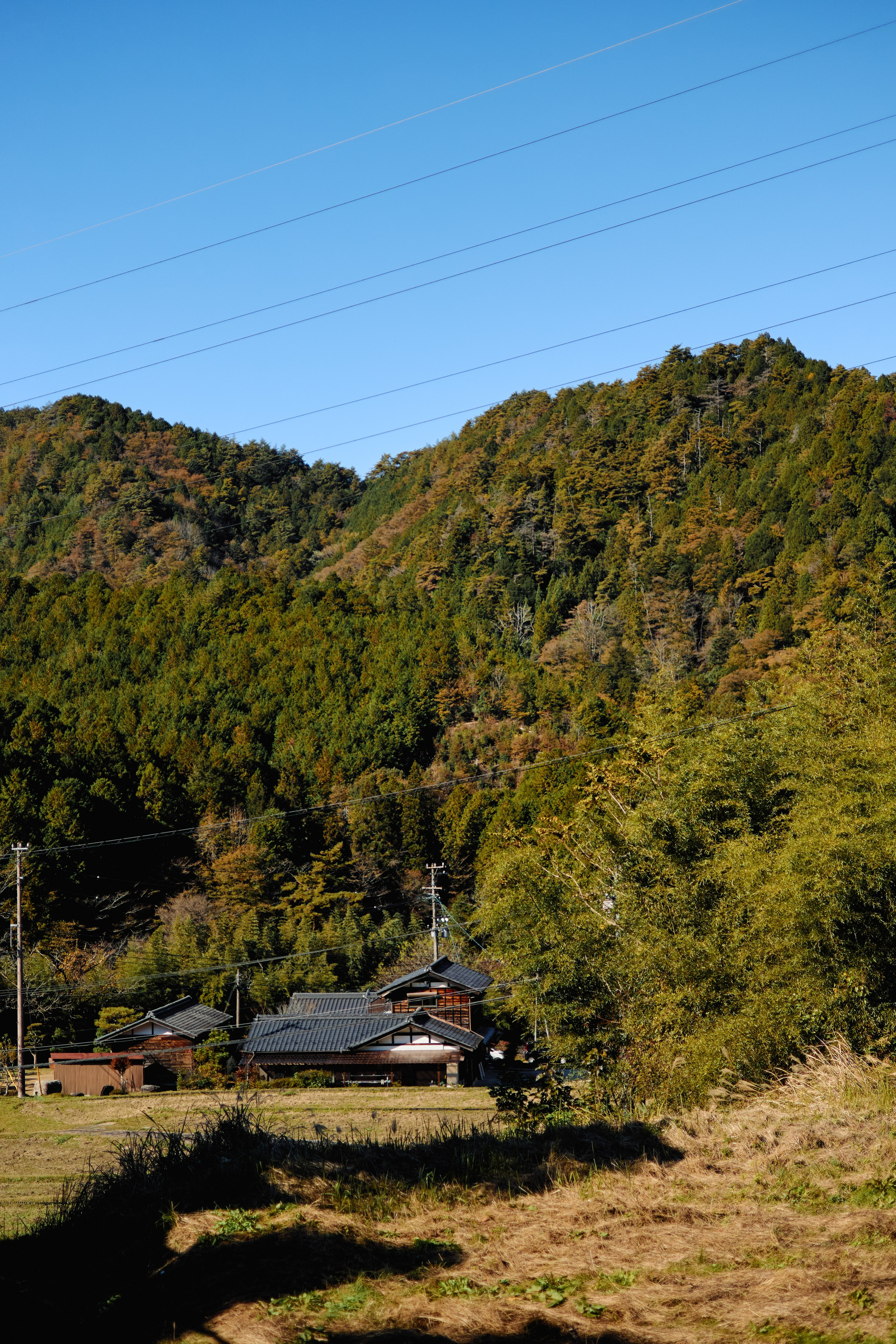 Япония. Профессиональный Фотограф во Владимире, в Москве и в Суздале — Полина Романычева