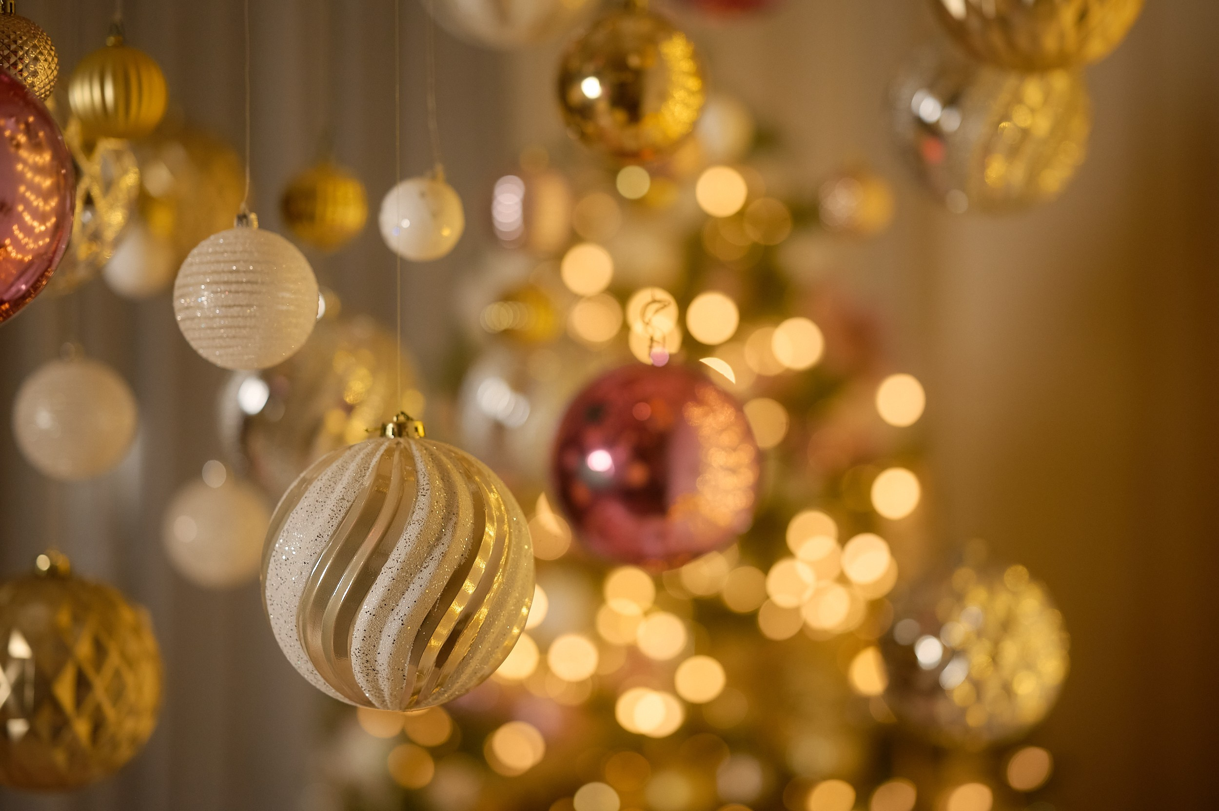 Фотостудия «Леона» зал Библиотека. Свадебный фотограф в Ростове Александра Груздева