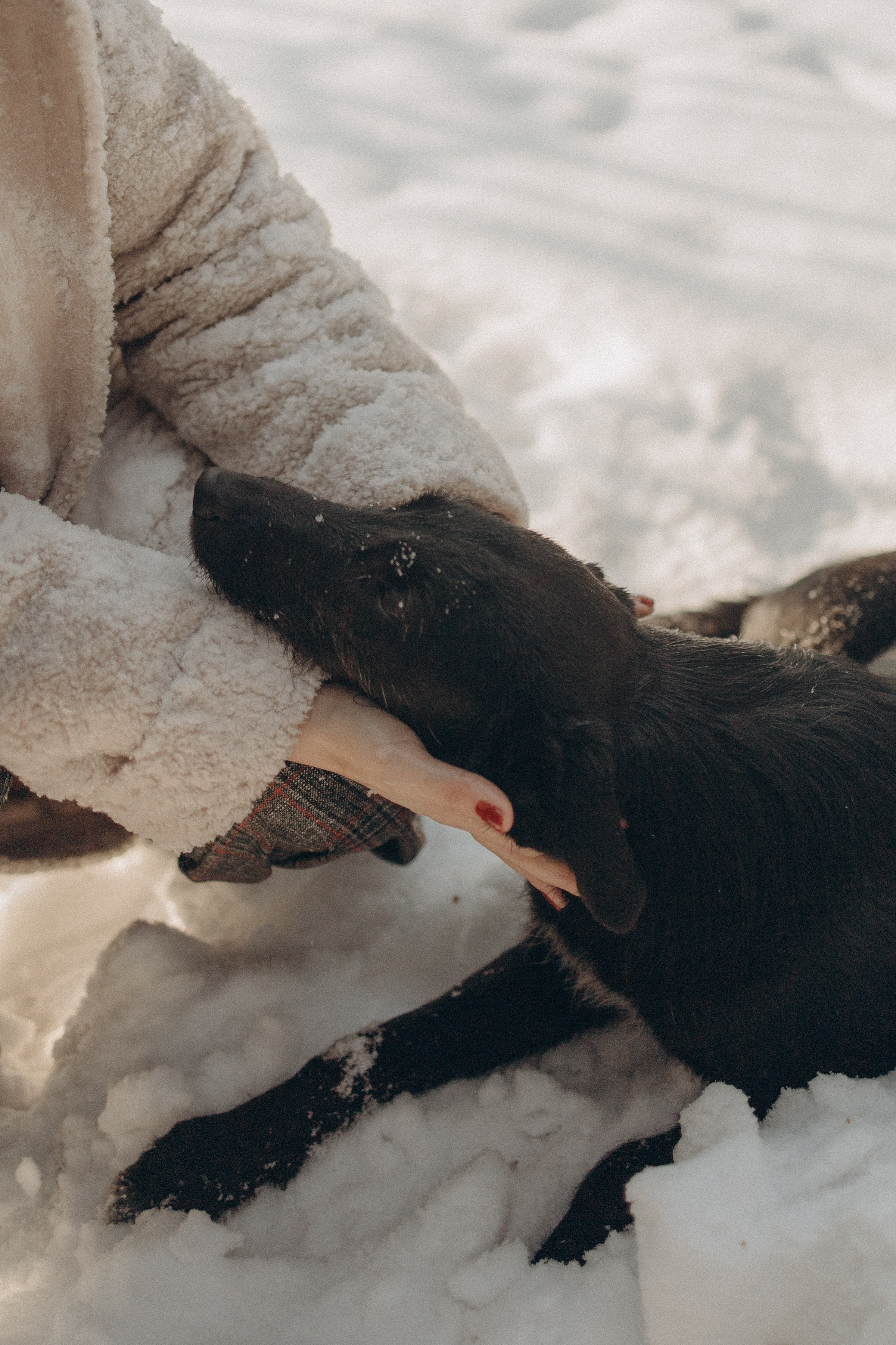 Шура / Алматы. Фотограф Наталья Гончарова. Снимаю живые портреты в Алматы