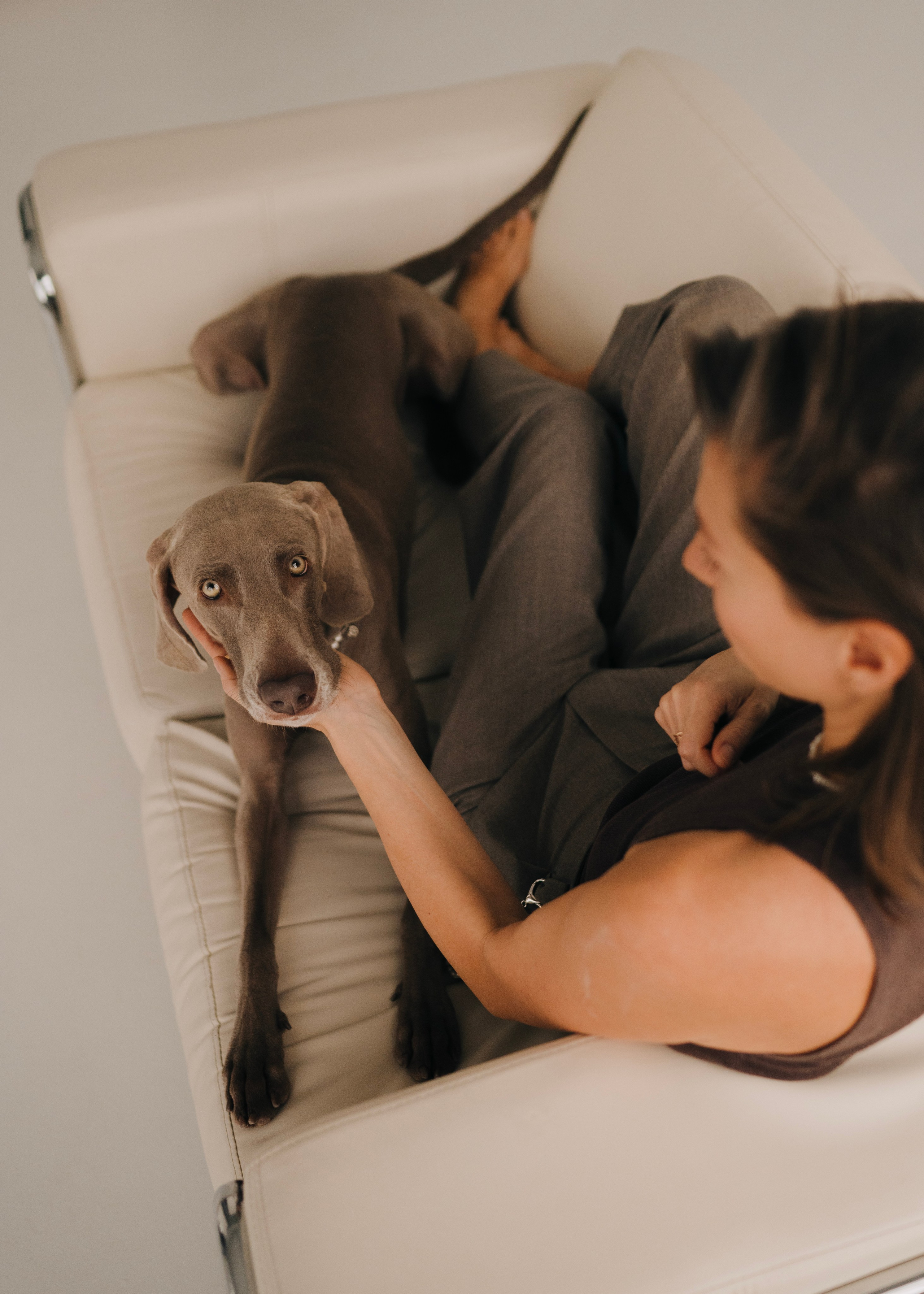 Фани. Фотограф- анималист Александра Матвеева