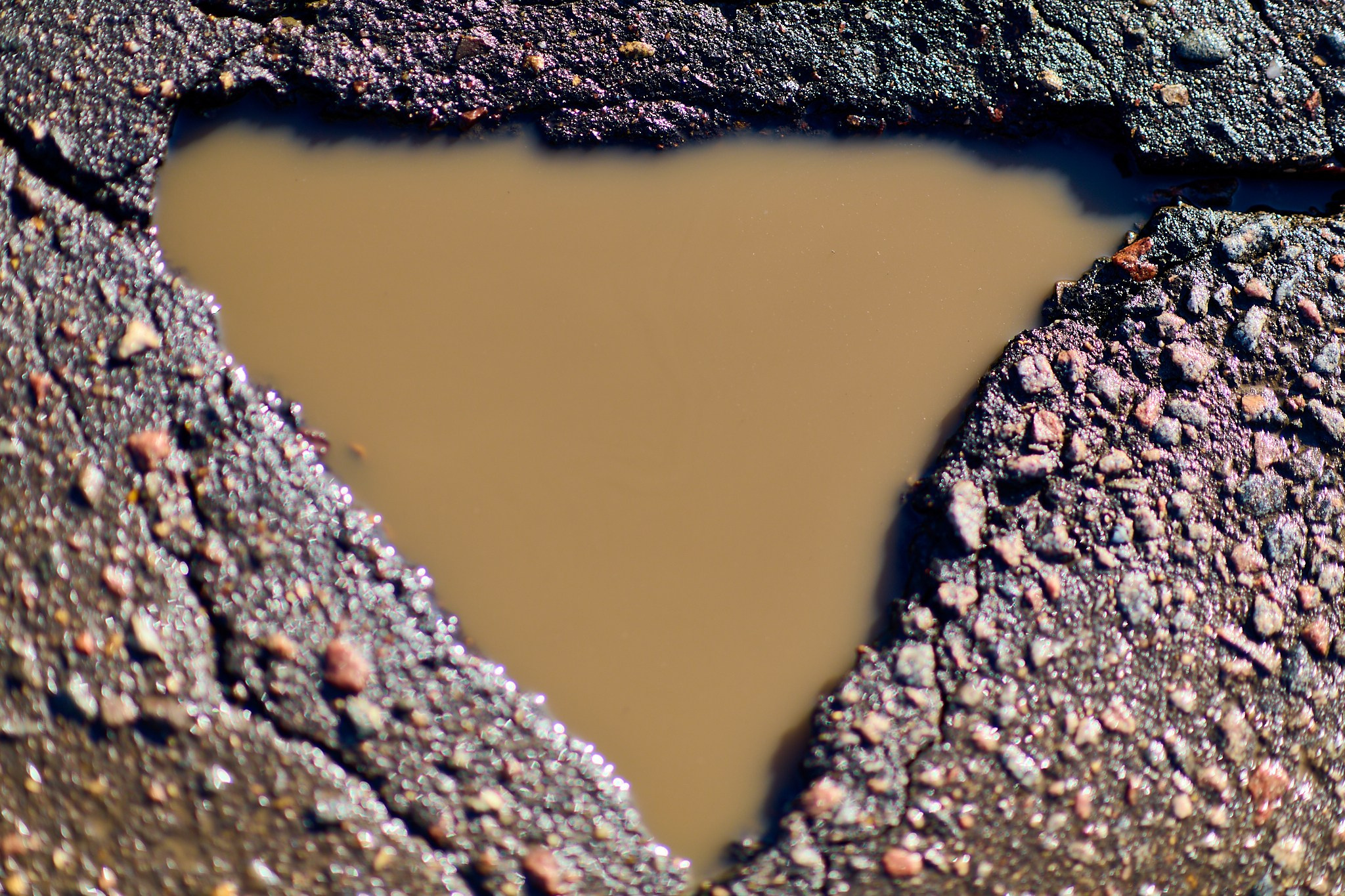 Уличный фотограф в Москве