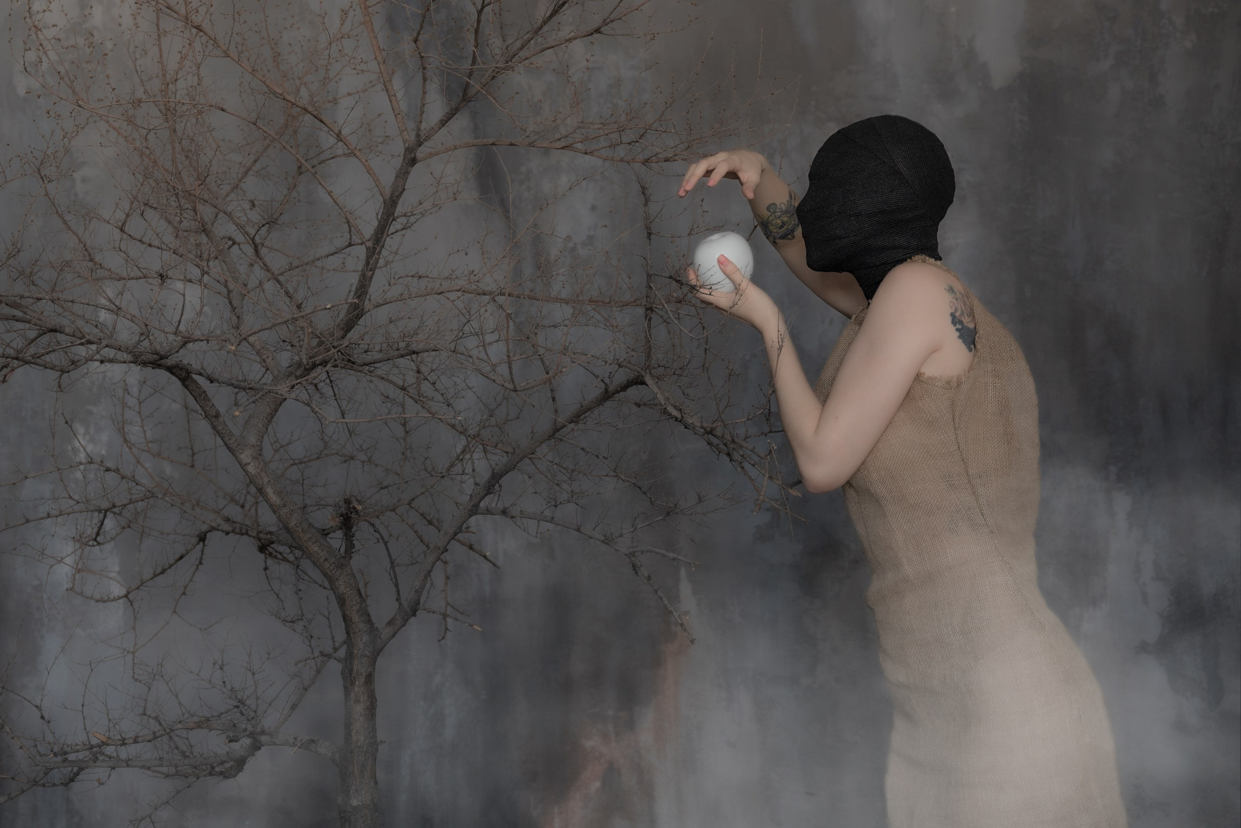 The Mystical Fog. Евгений Войтик — фотограф в Хабаровске