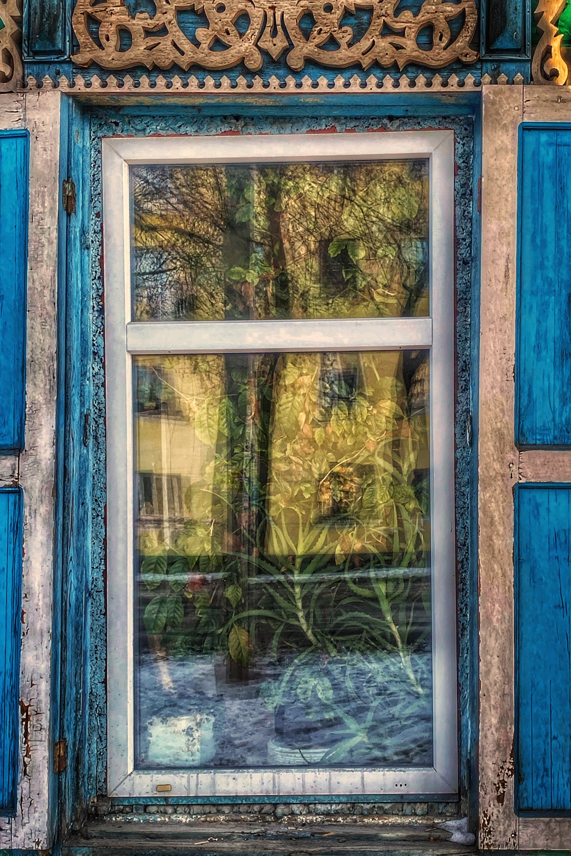 2025 год. Тащилин Сергей. Фотографии. Жизнь. Хобби