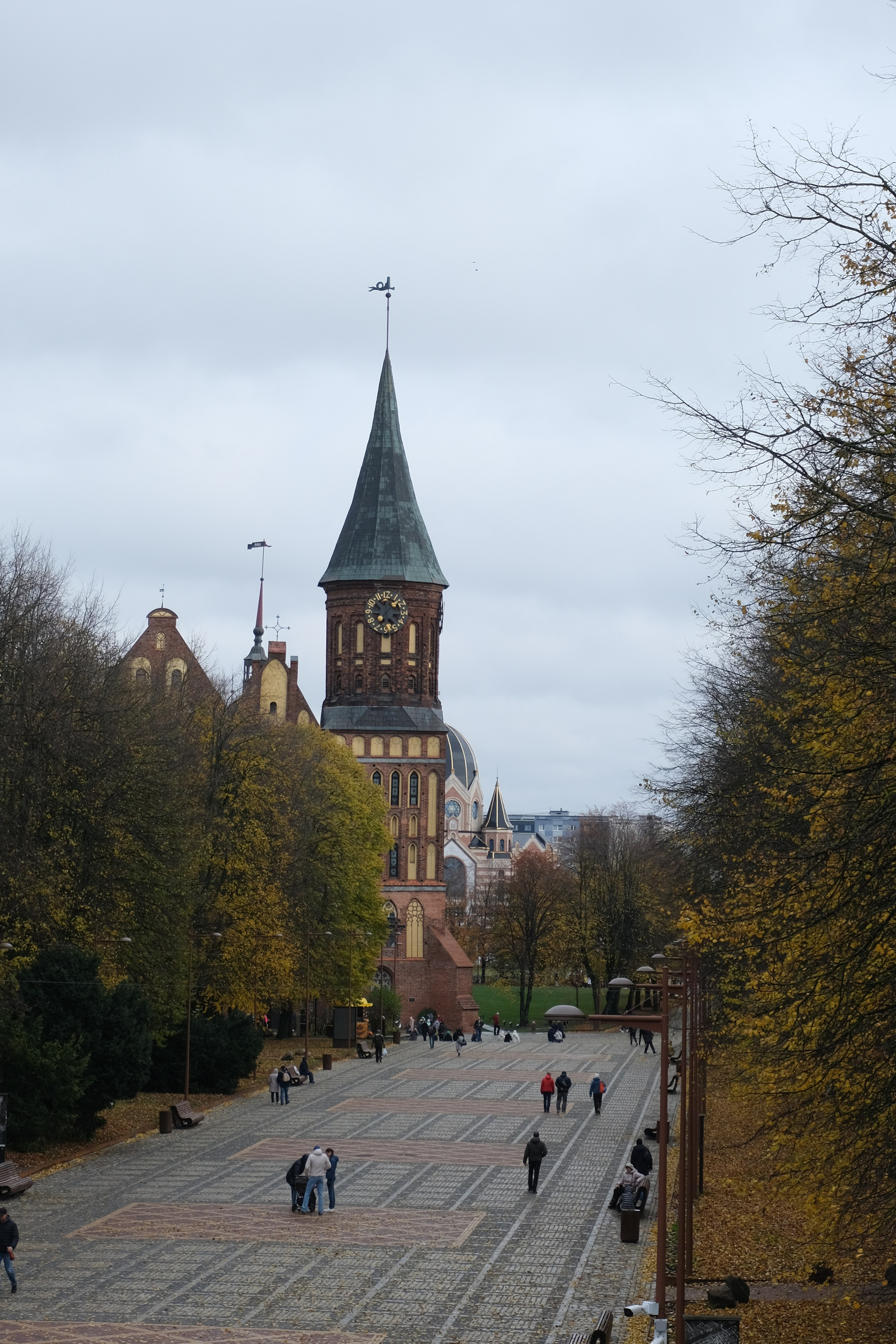 Калининград. Татьян гертье