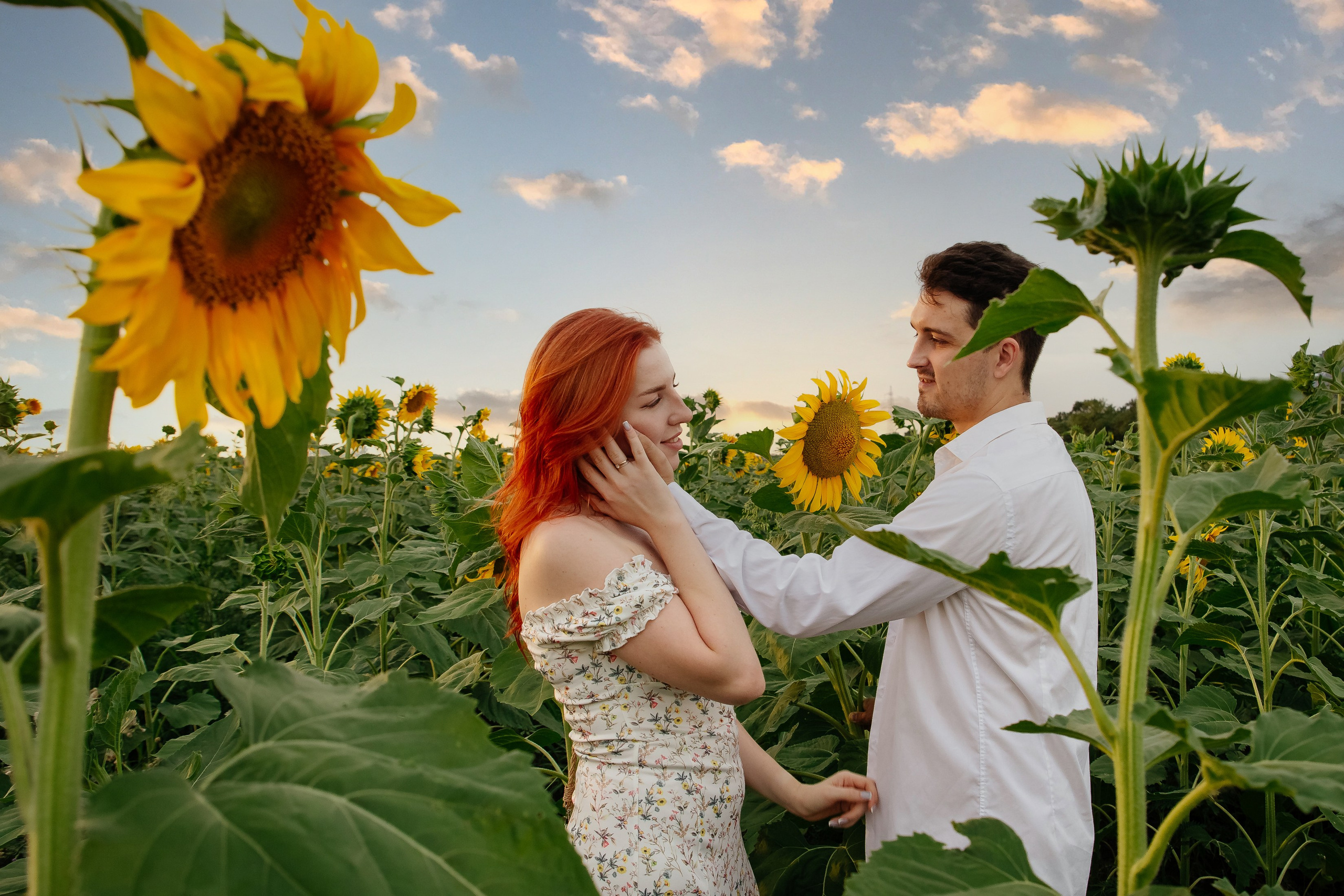 Подсолнухи. Свадебный и семейный фотограф в Краснодаре Илонна Ковалева