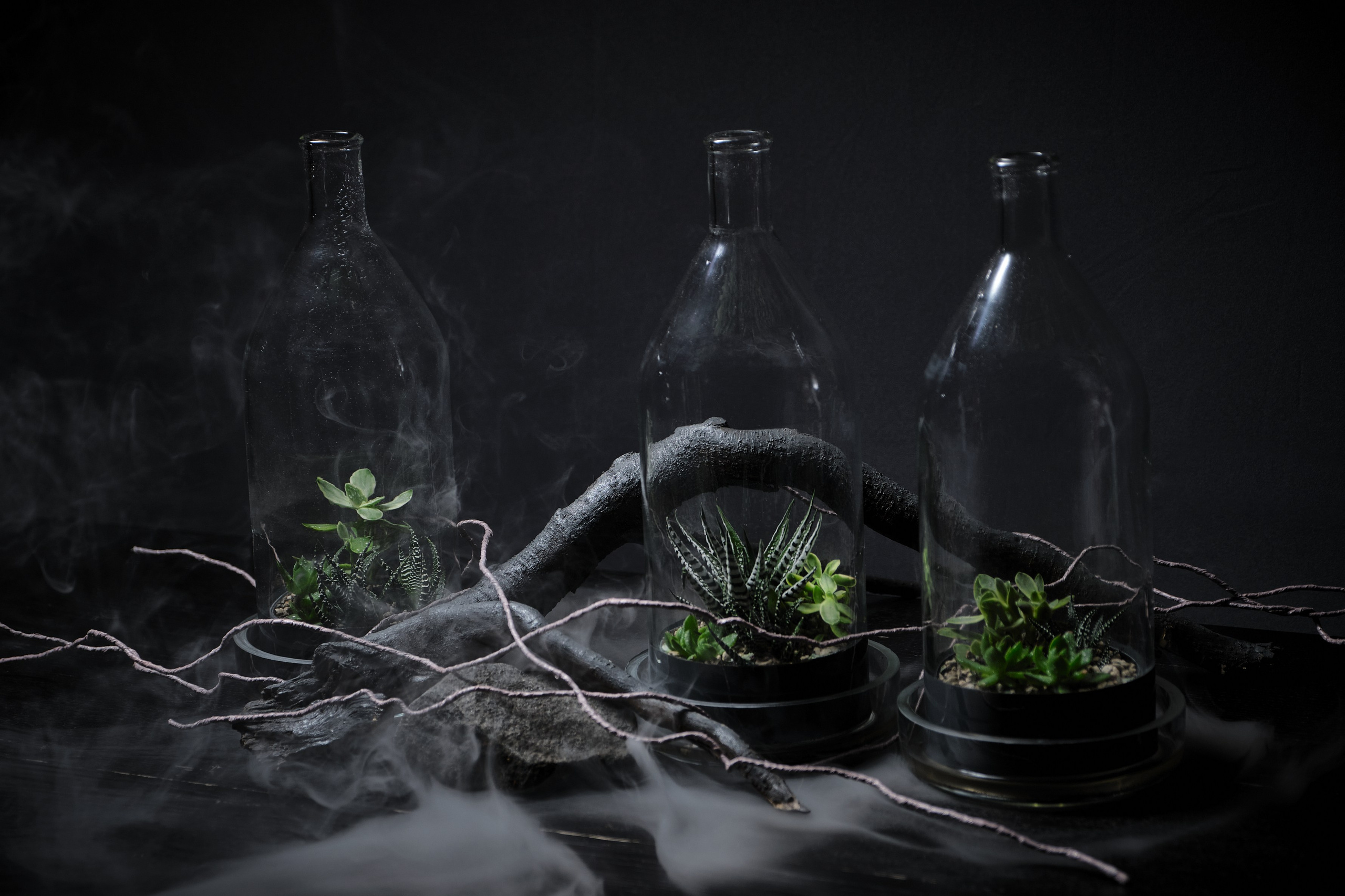 Рекламная фотография. Фотограф и видеограф в Москве Алексей Толстиков