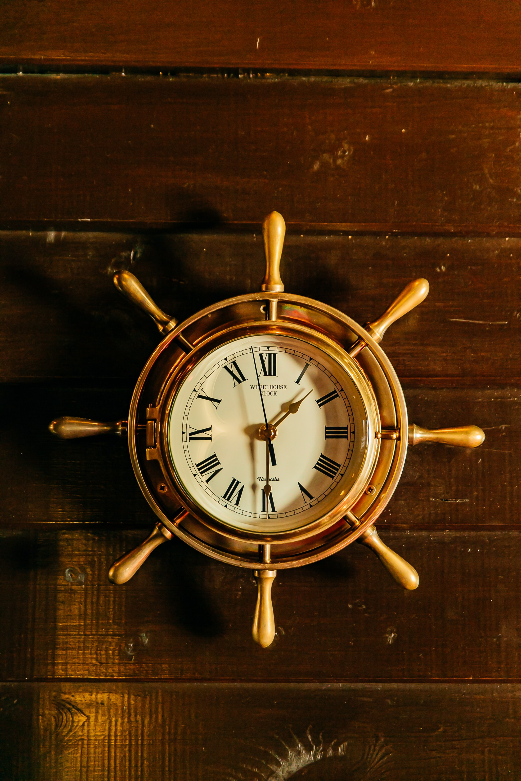 Благодать 2024. Семейный и портретный фотограф в Санкт-Петербурге Ольга Станкова