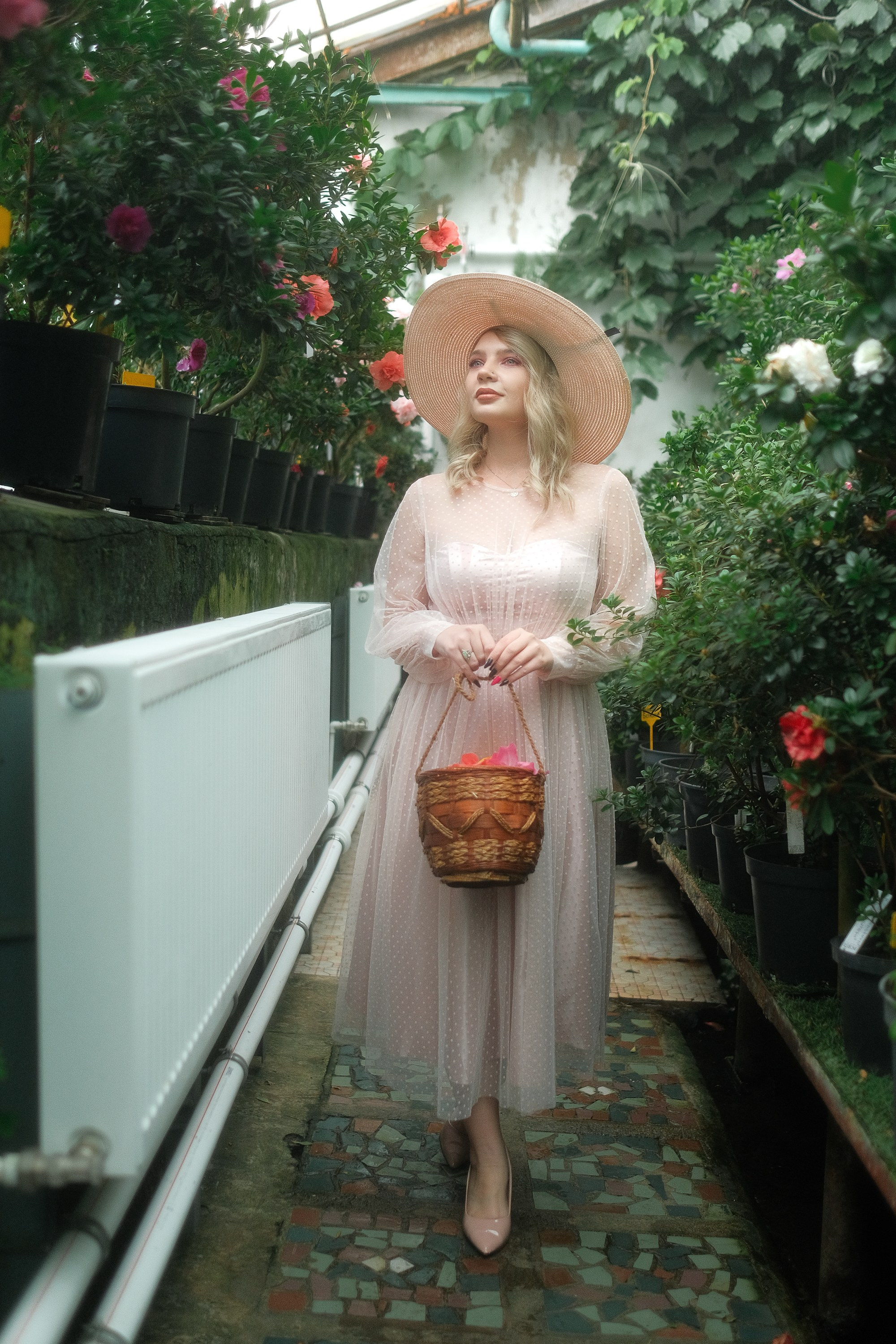 Greenhouse. Aleksandr Schafft