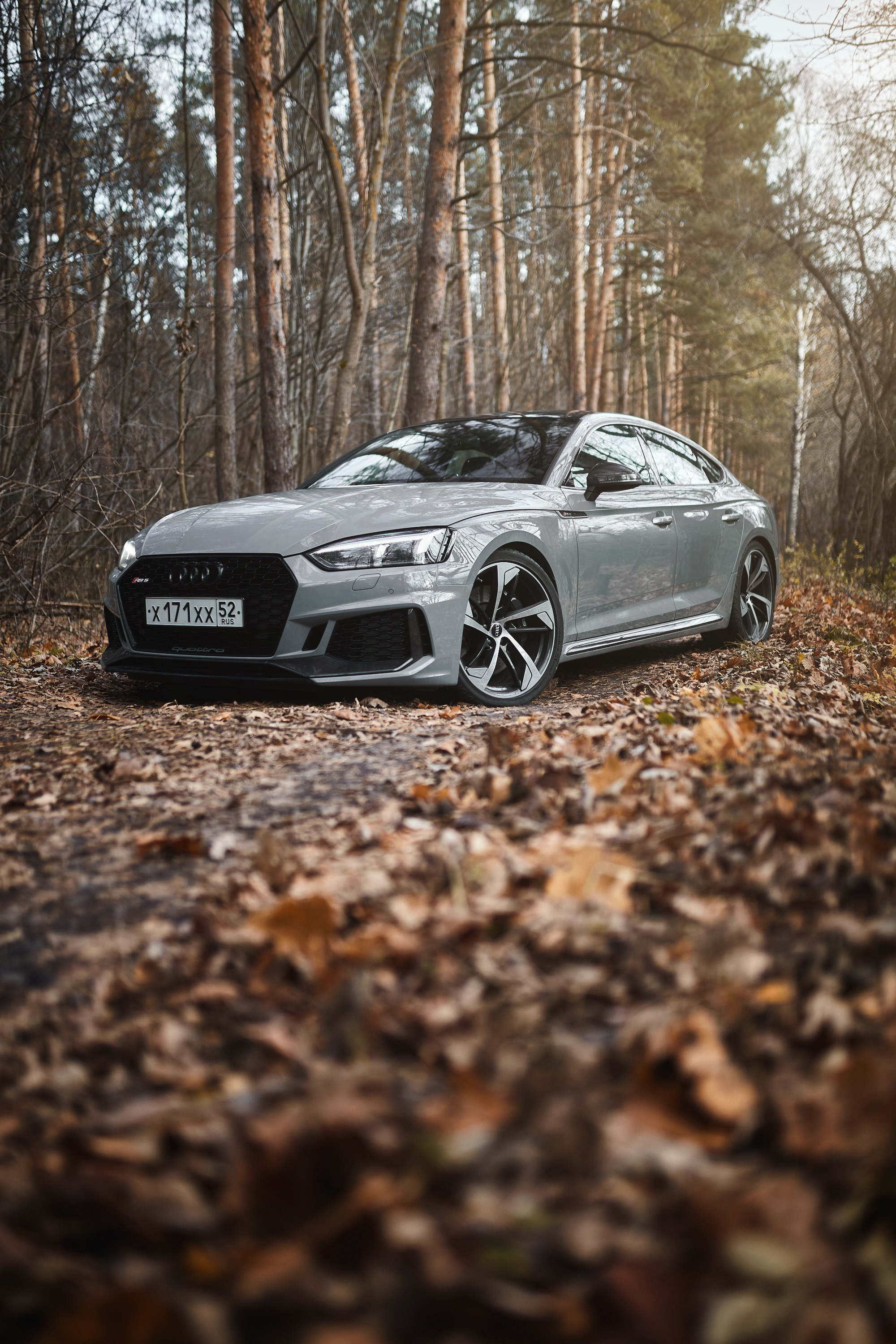 Audi RS5. DKARPOCHEVA PHOTOGRAPHY