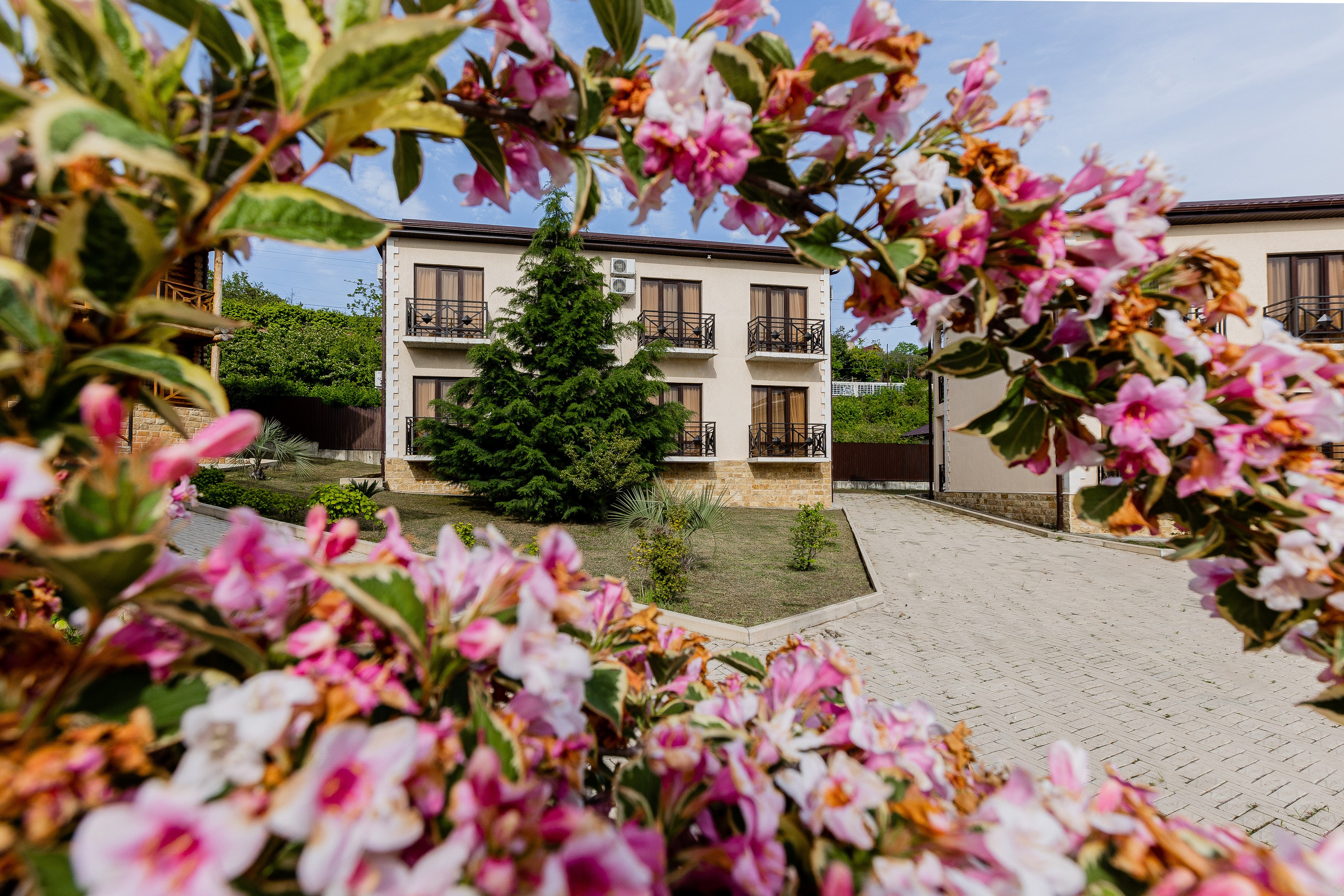 PARADISE. Семейный фотограф на крещение и венчание