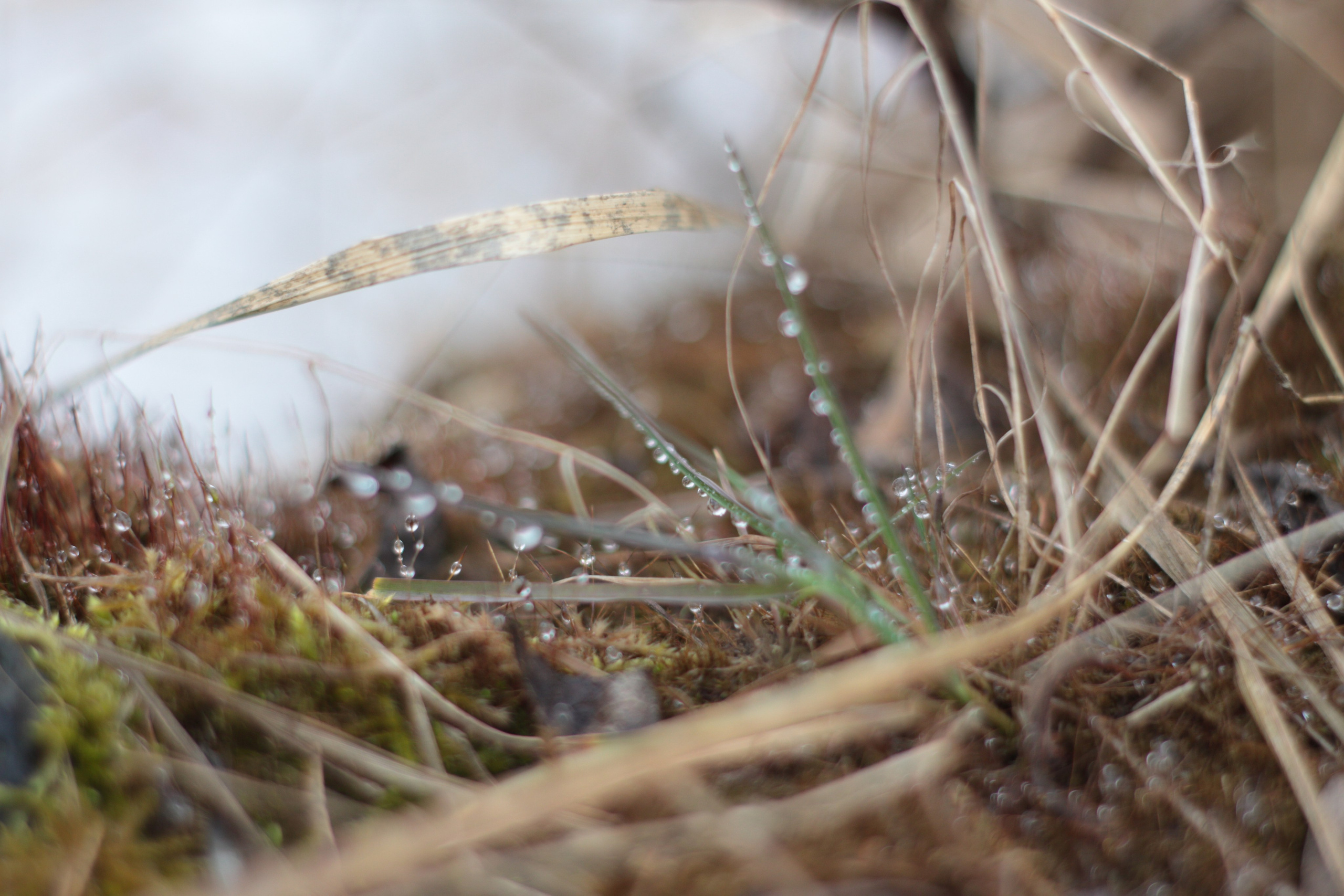 Старое природное, отбирала Katamount (Катерина Горохова). Главная