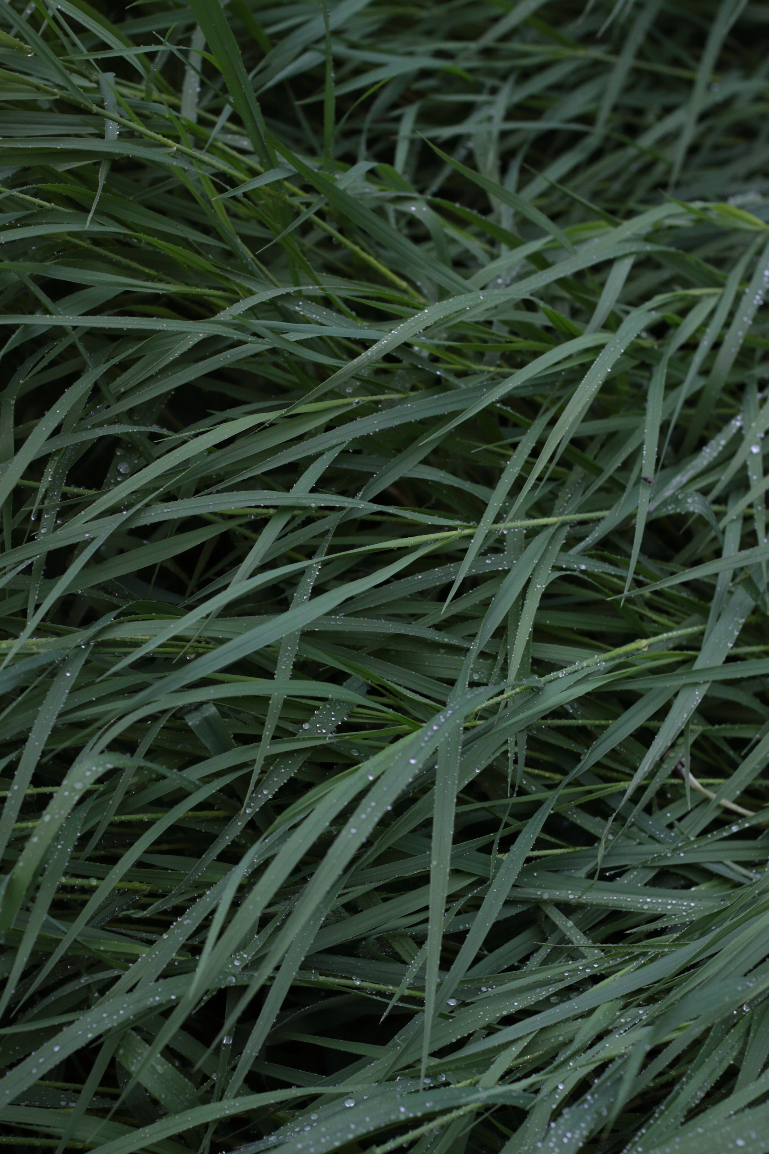 Старое природное, отбирала Katamount (Катерина Горохова). Главная