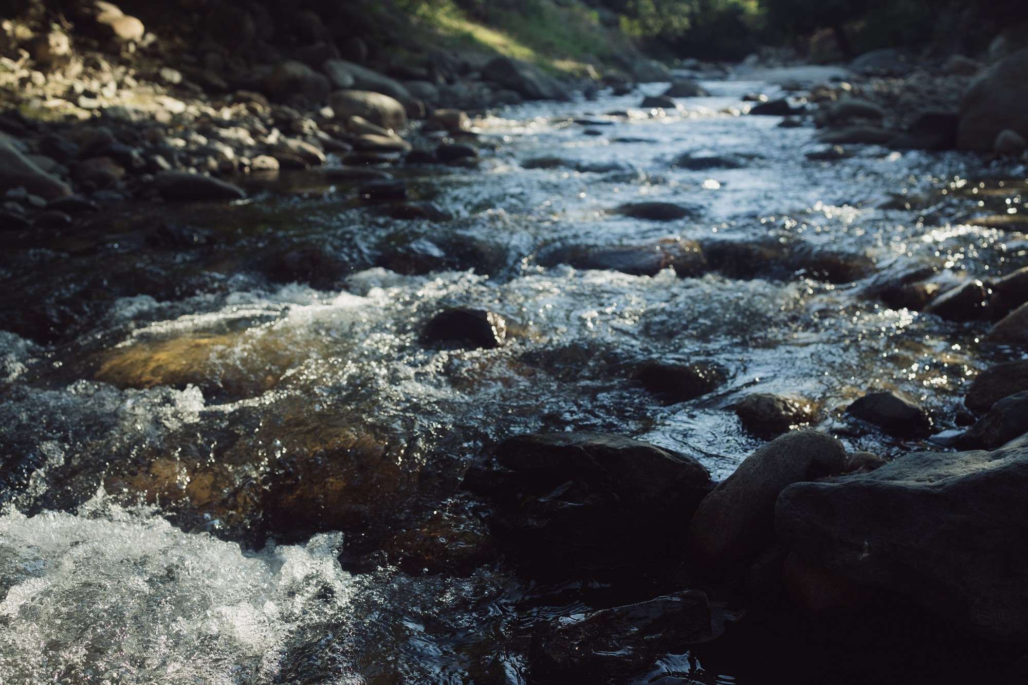 Uzbekistan daily. Commerce & art photographer