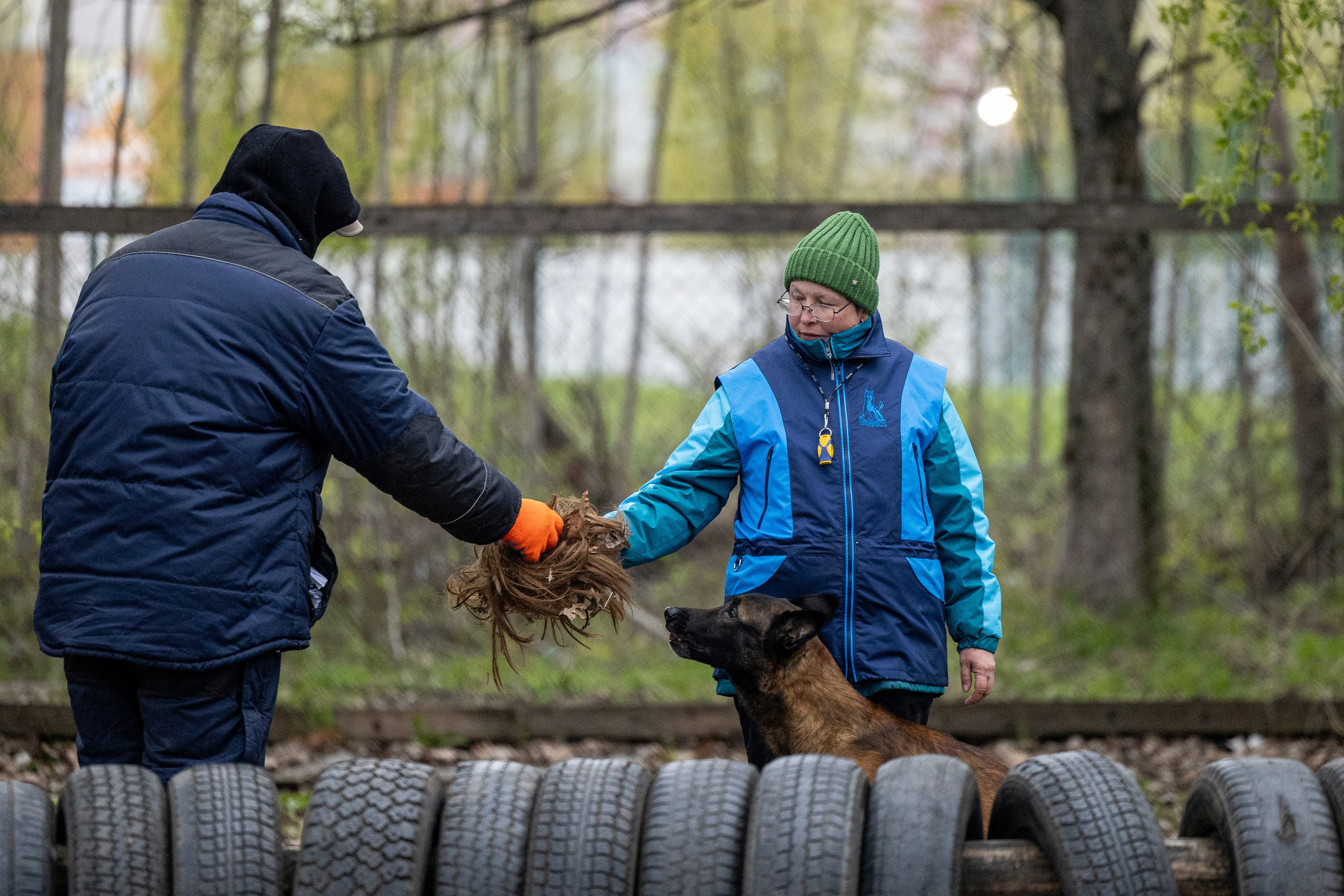 Квалификационные состязания по мондьорингу г. Вологда 11.05.24. Фотограф-анималист Анна Маринич
