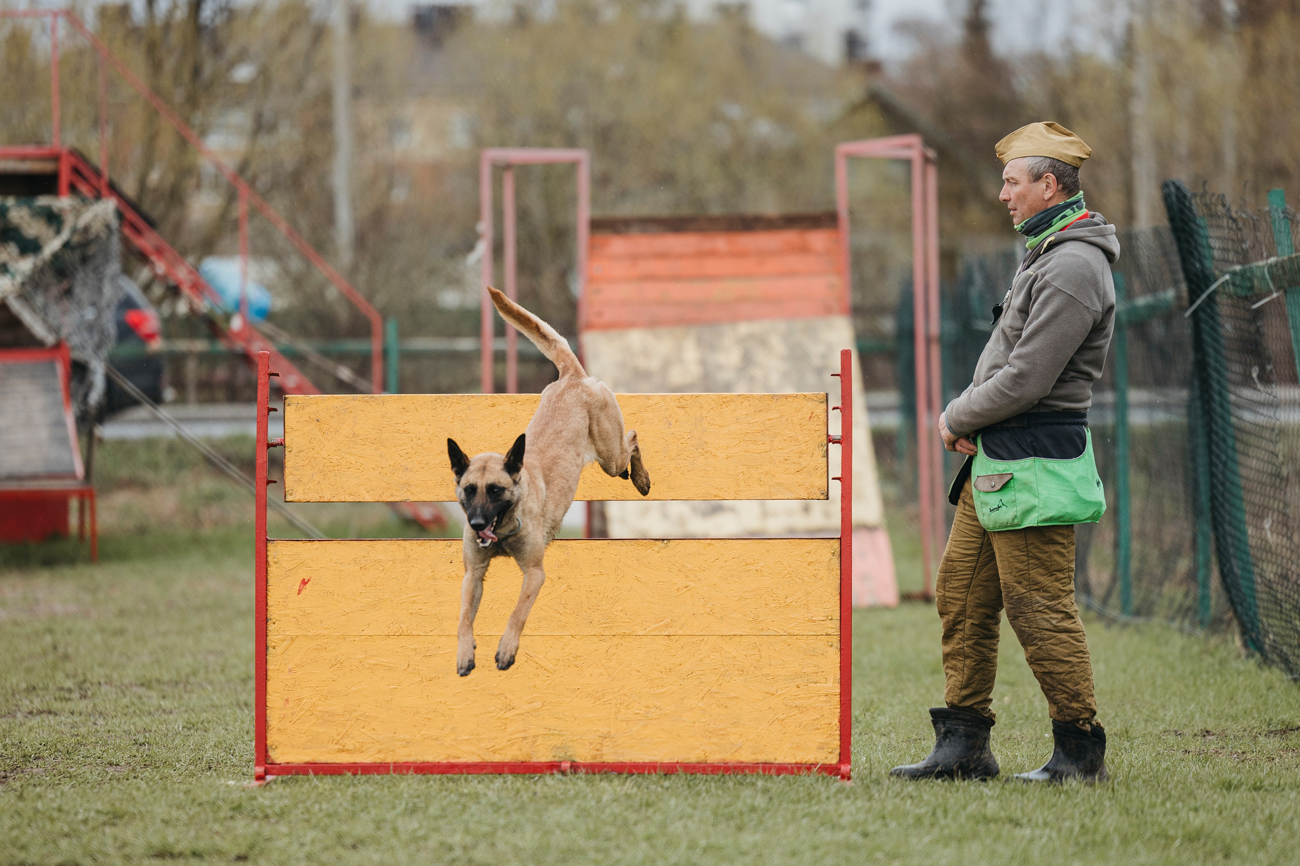 09.05.25 Вологда соревнования. Фотограф-анималист Анна Маринич