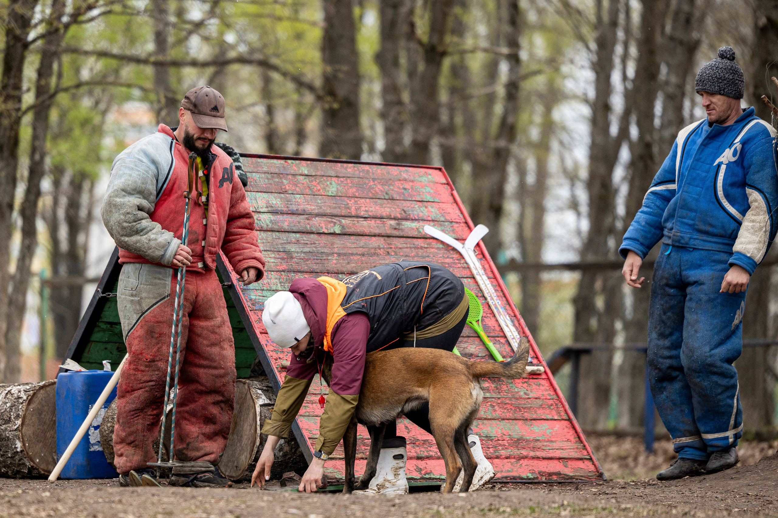 Квалификационные состязания по мондьорингу г. Вологда 11.05.24. Фотограф-анималист Анна Маринич