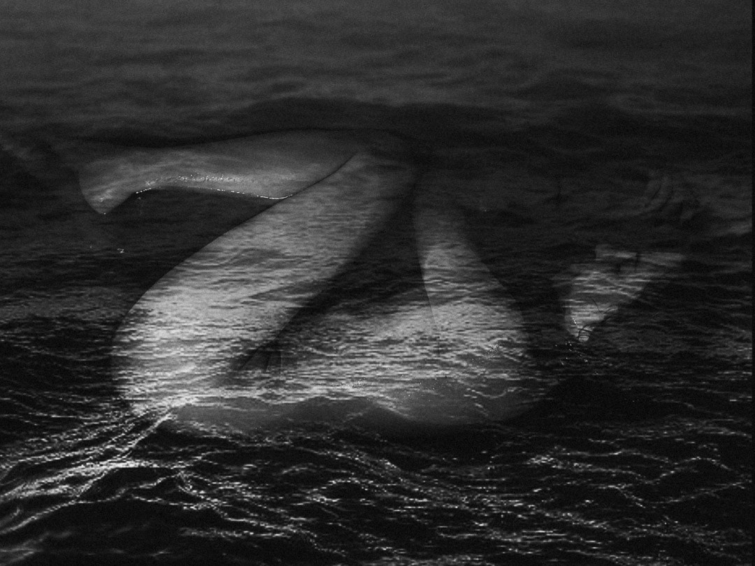 Чувственный портрет в Санкт-Петербурге и Москве Ксения Чудкая | Sensitive portrait