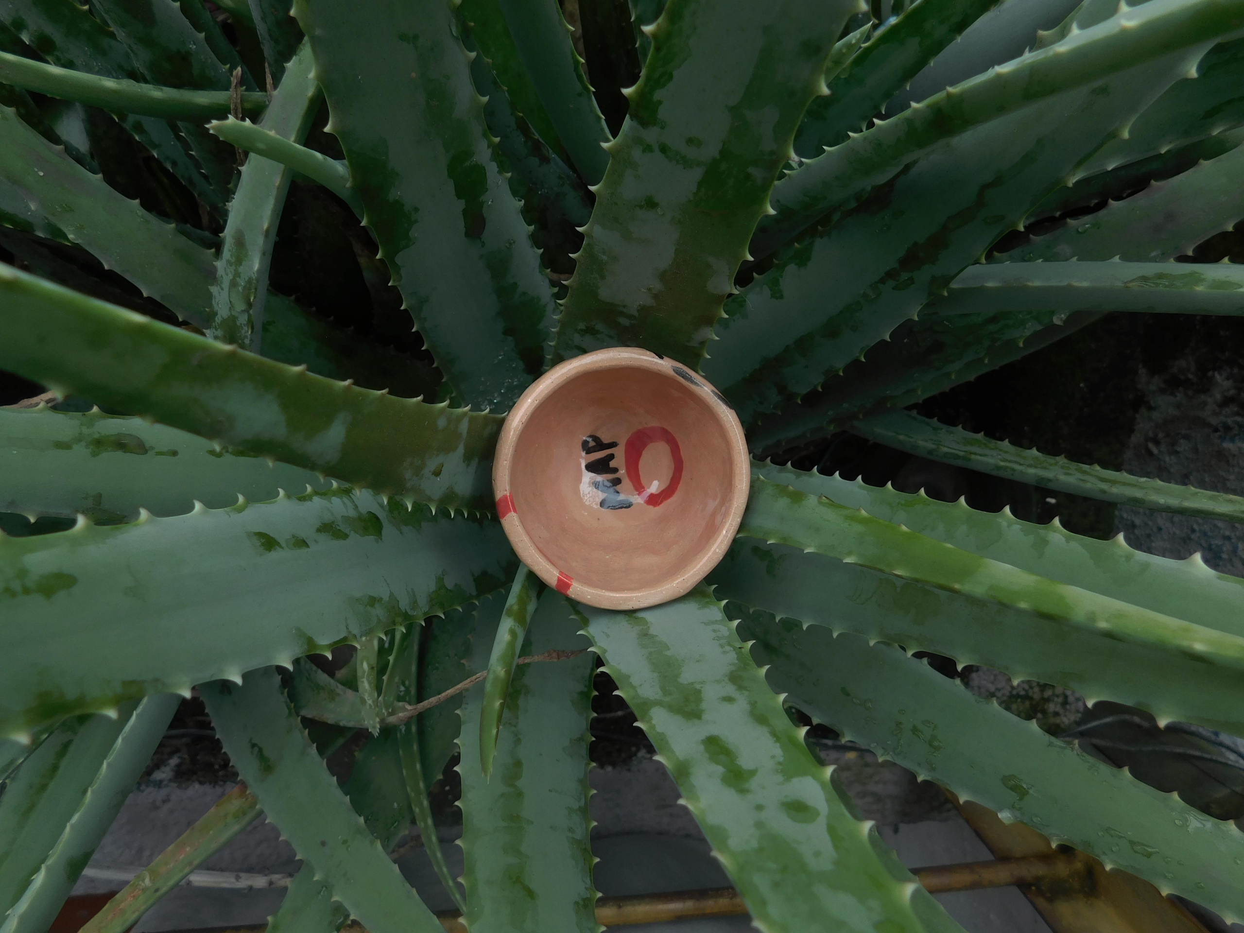 Ceramics project. Xexexena.ru