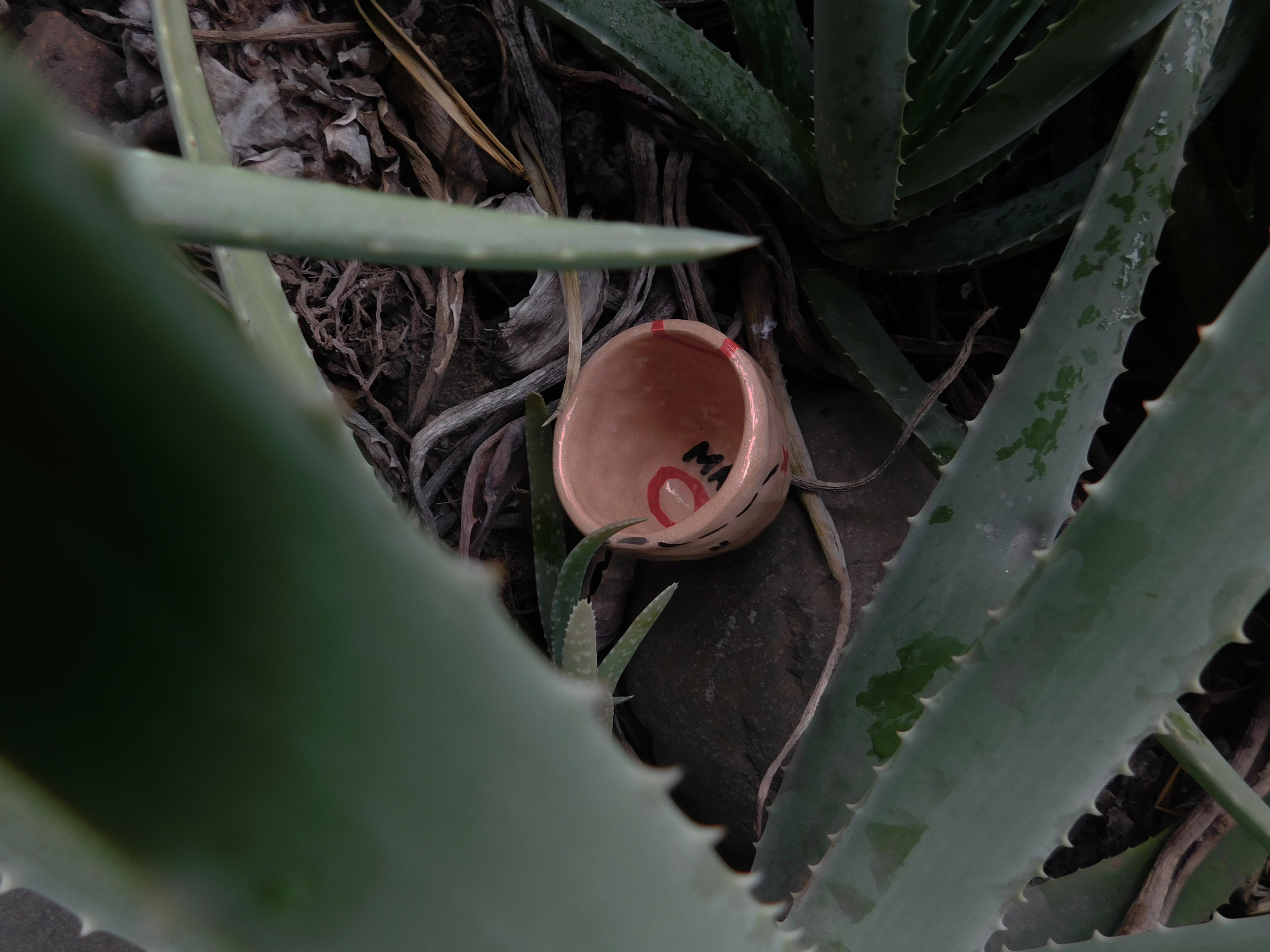 Ceramics project. Xexexena.ru