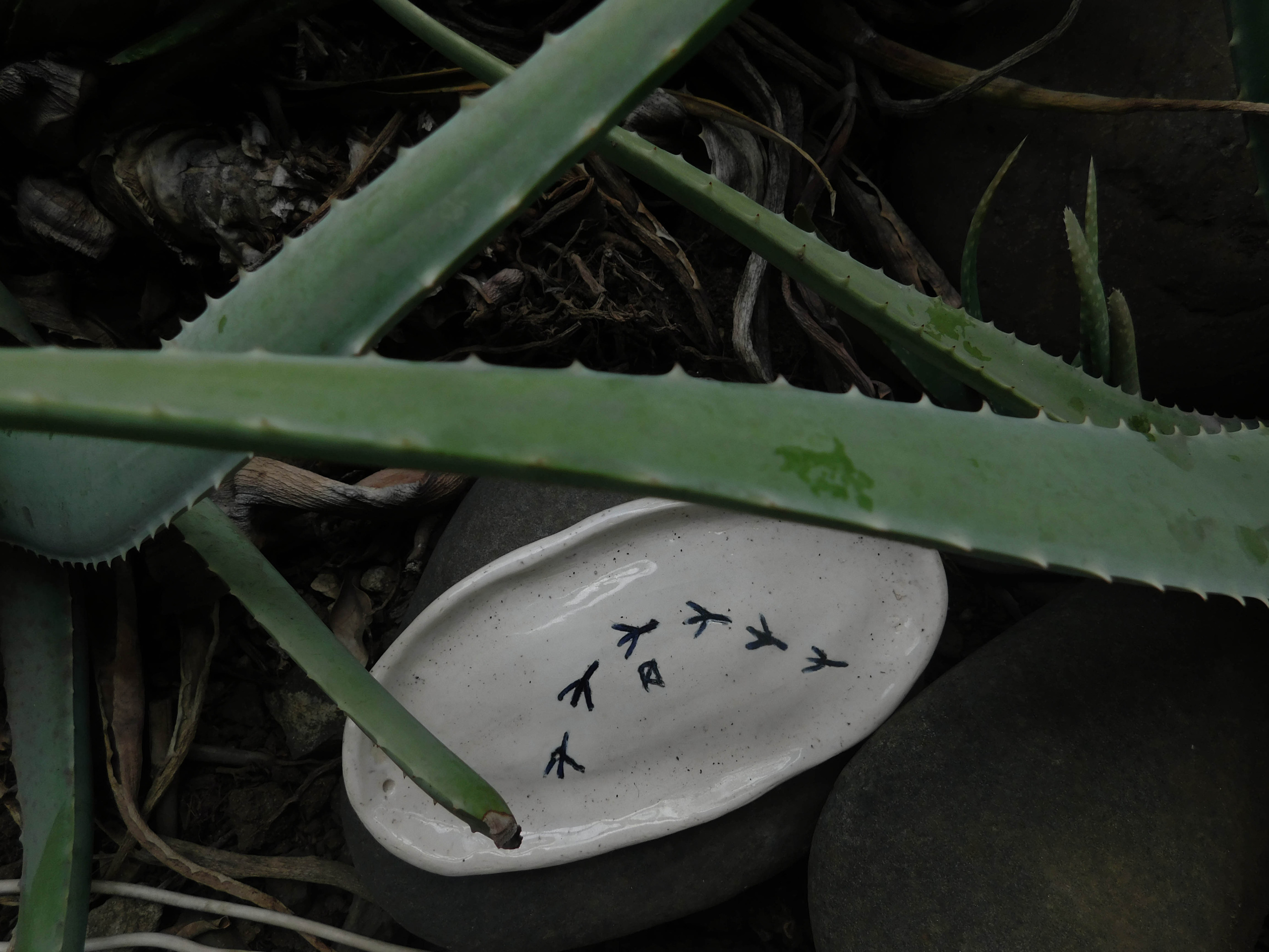 Ceramics project. Xexexena.ru