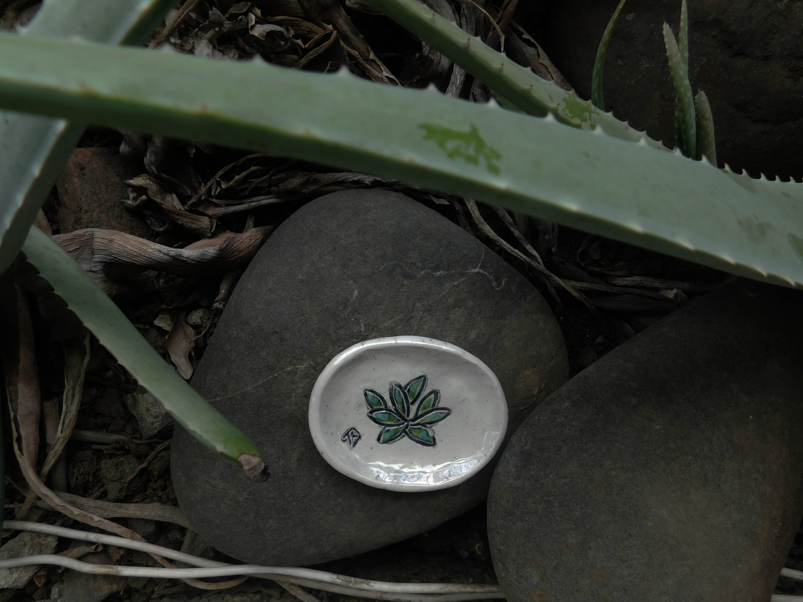 Ceramics project. Xexexena.ru