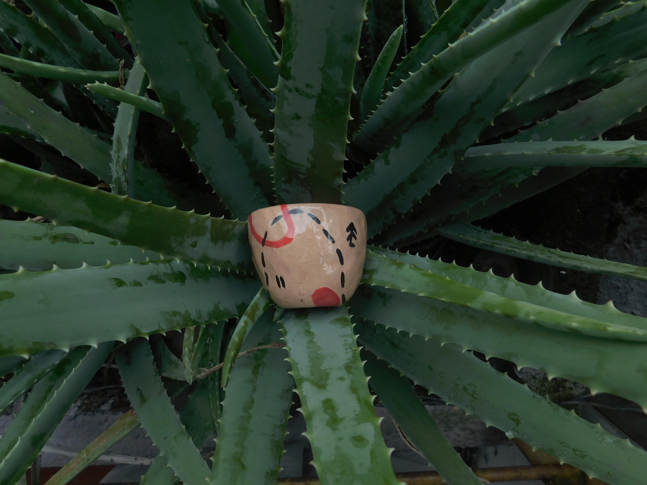 Ceramics project. Xexexena.ru