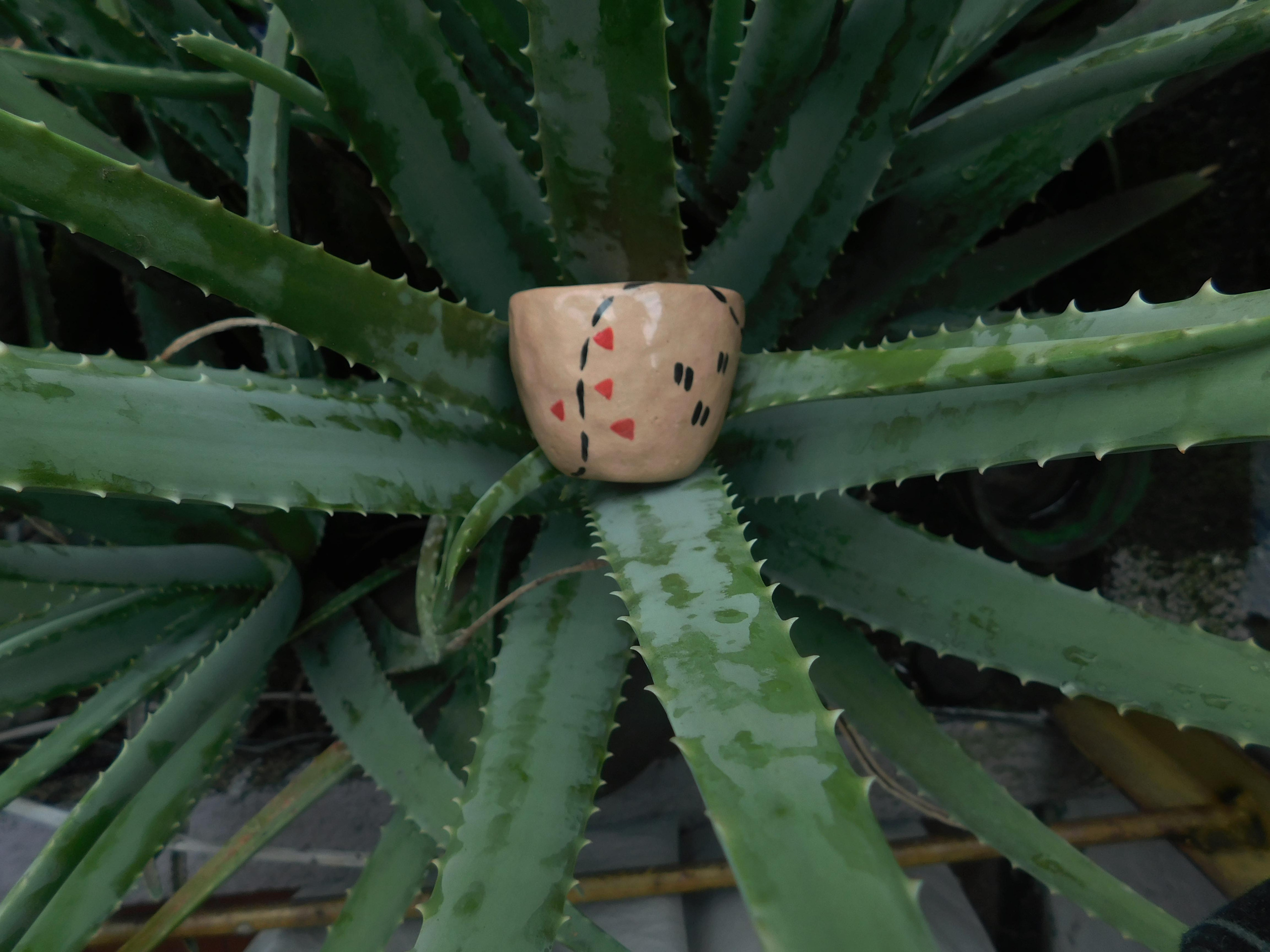 Ceramics project. Xexexena.ru